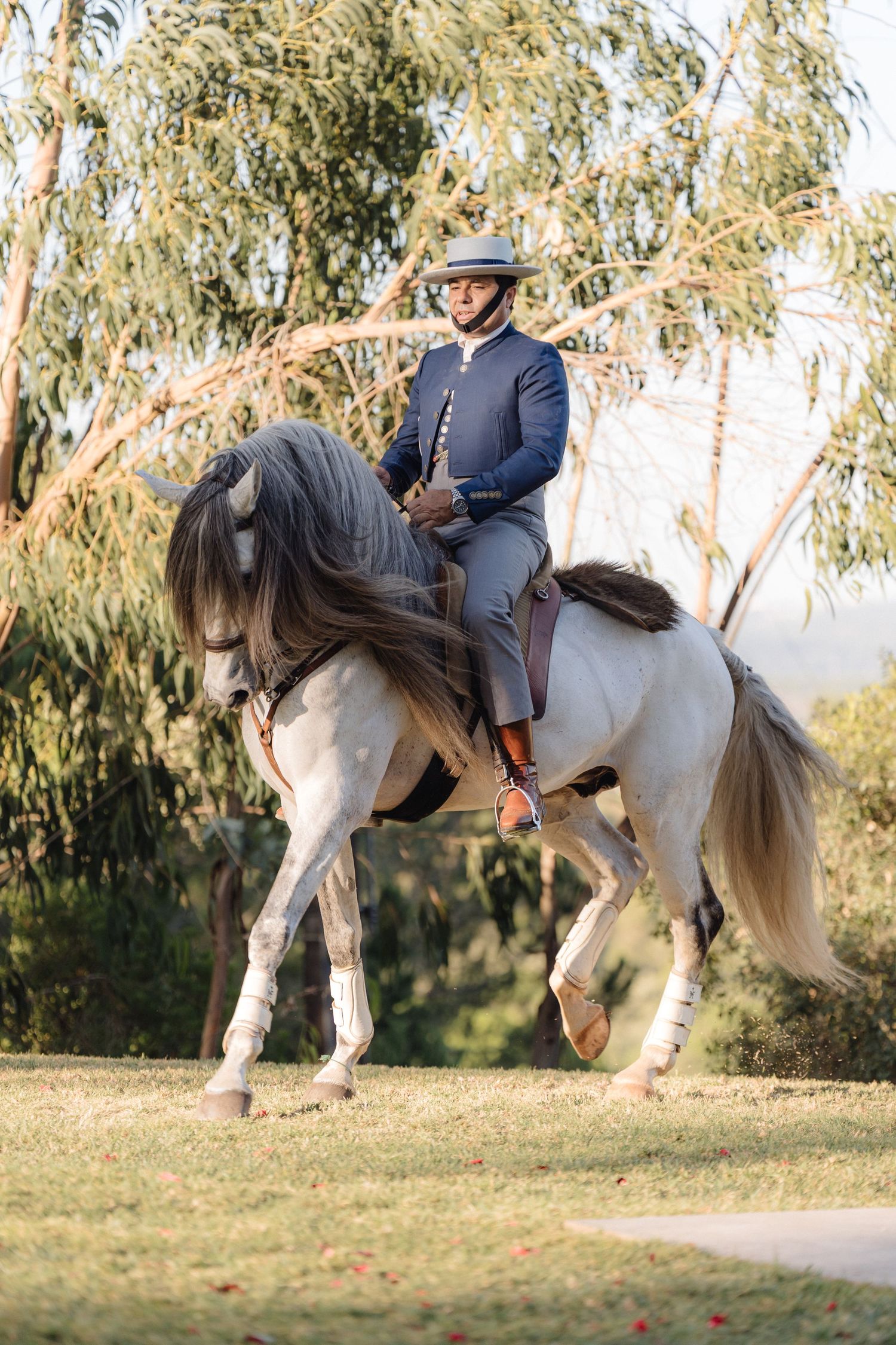 A white horse and rider demonstrate elegant dressage movements in a park setting.