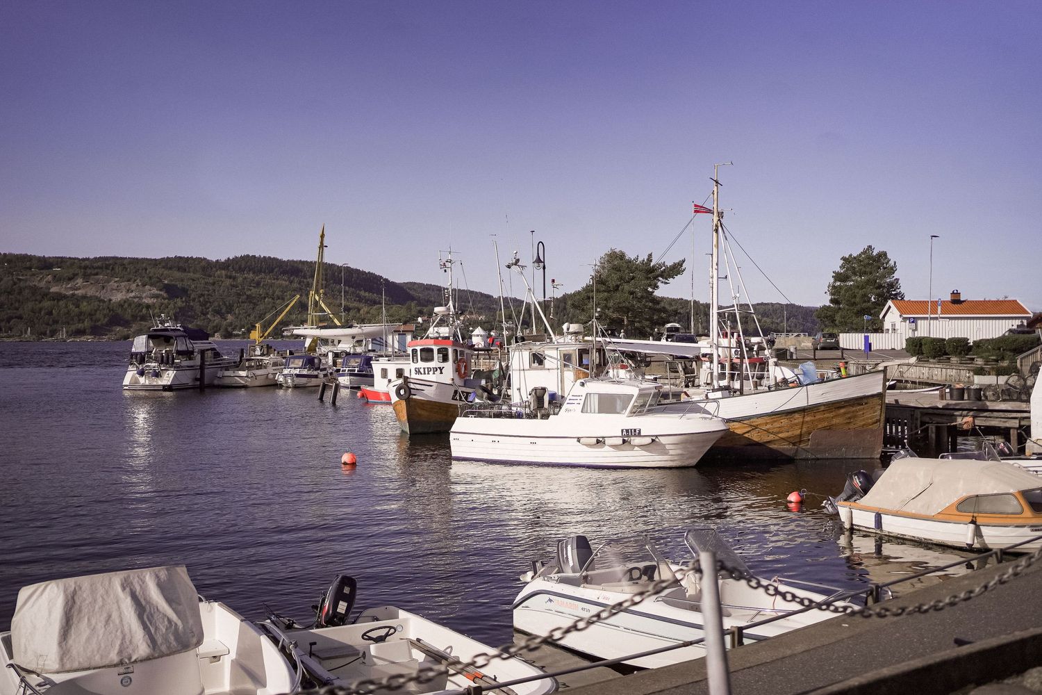 Scenic harbor view with boats docked along the waterfront and coastal buildings nestled against rolling hills.