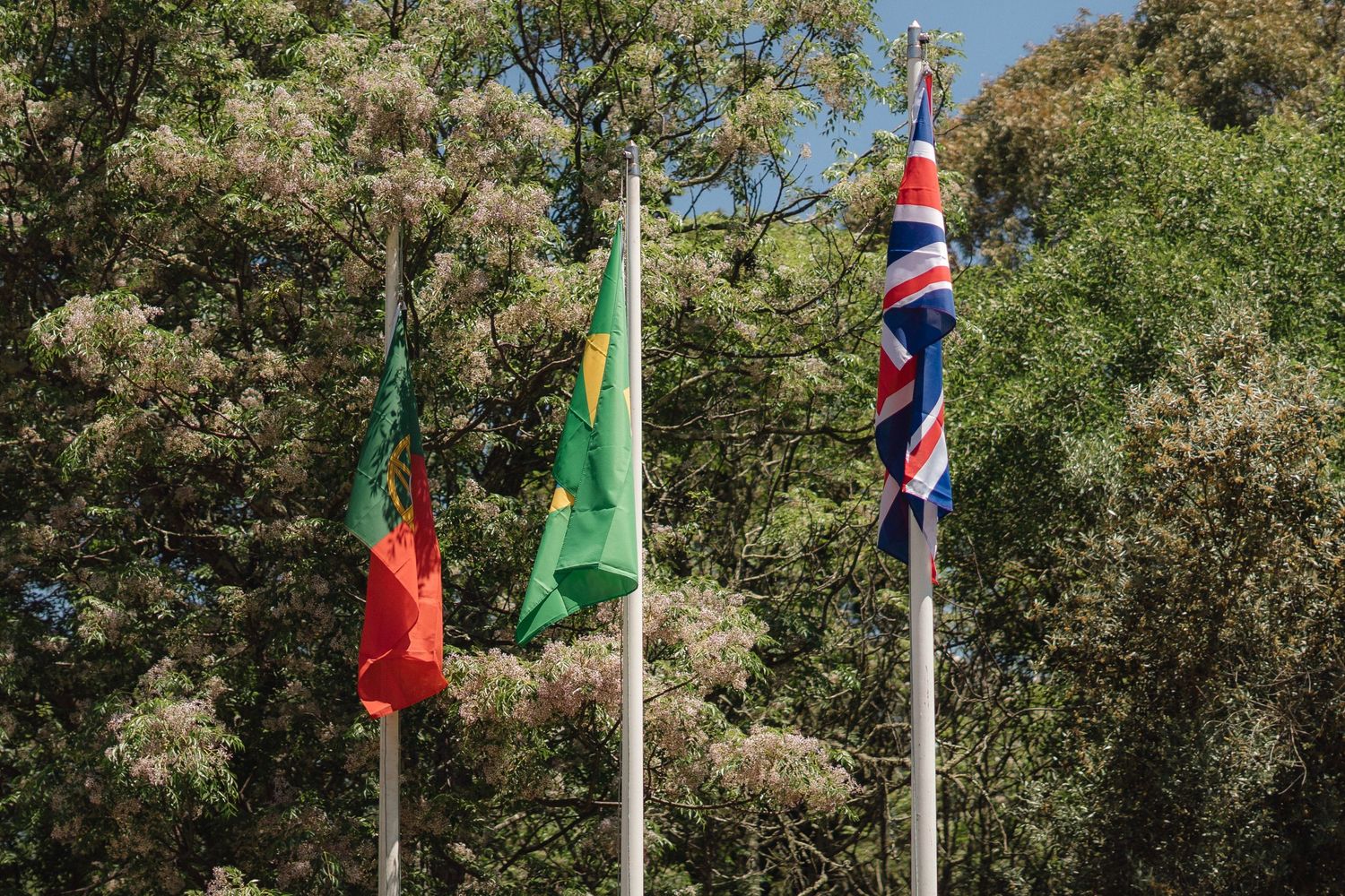 Row of international flags waving against blue sky and green trees.