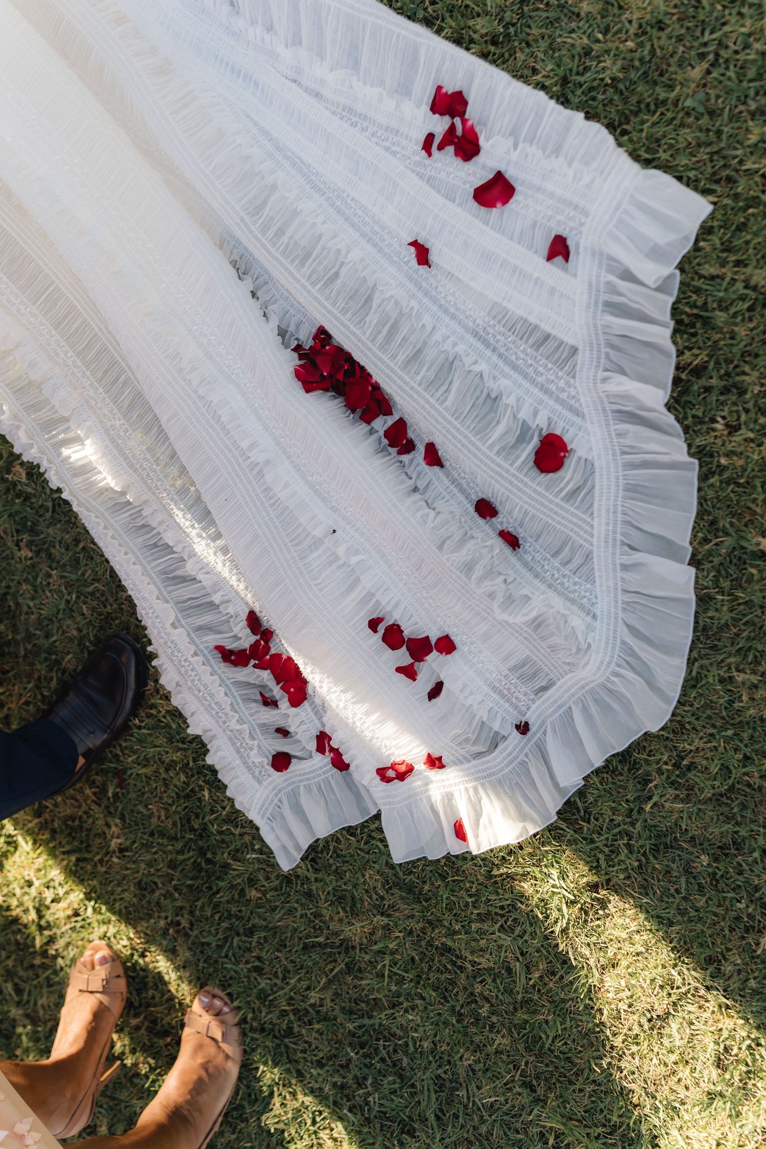 Red rose petals scattered on a flowing white wedding dress train against green grass.