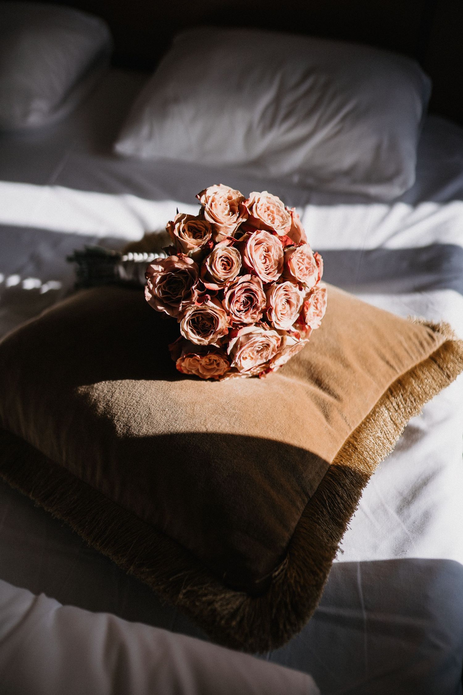 Dusty pink roses laying on a tan blanket in dramatic lighting.