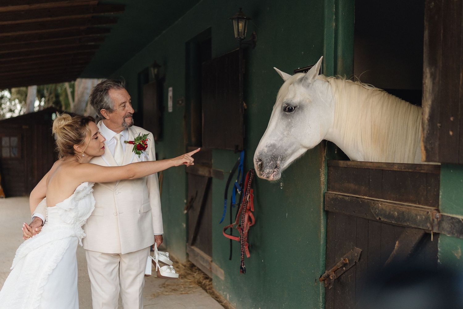 Wedding couple poses with a white horse in a rustic barn setting.