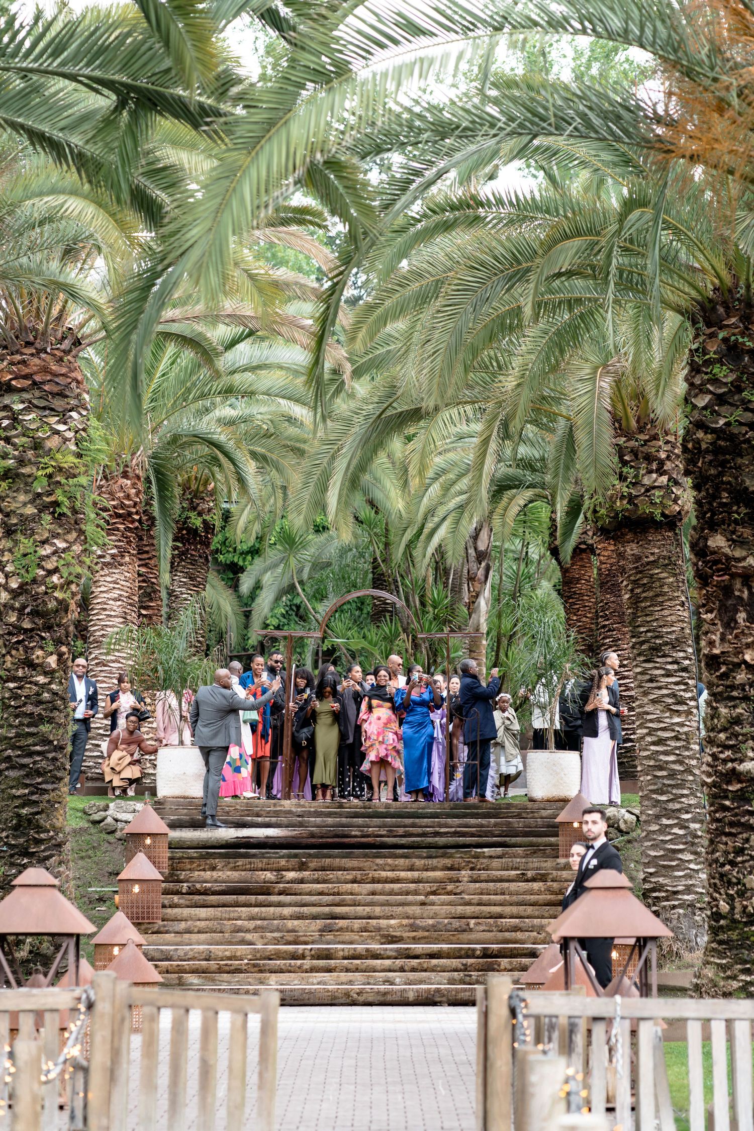 Wedding guests gather under a scenic palm tree lined walkway with stone steps.