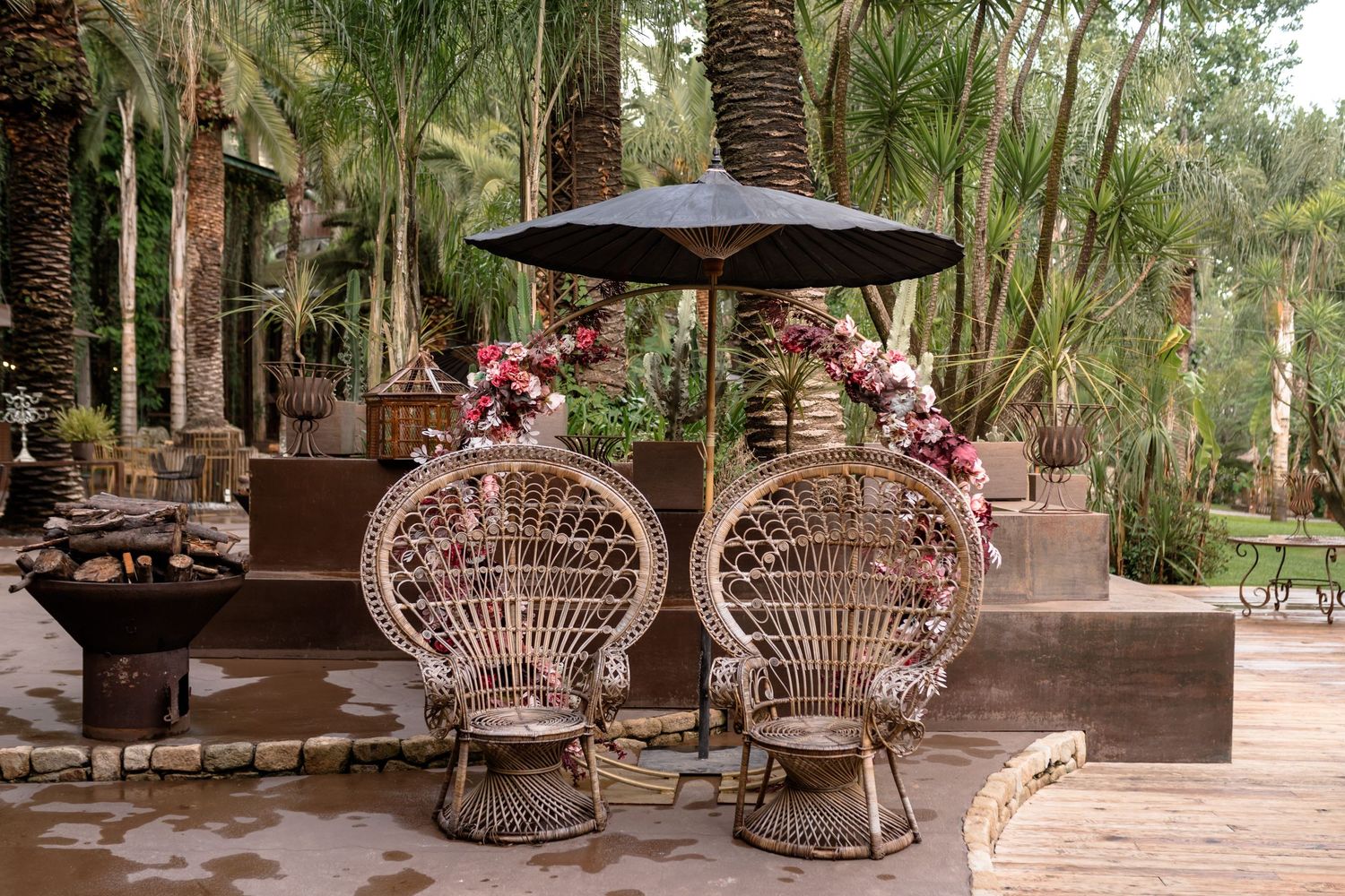 Two ornate peacock chairs set up at an outdoor wedding venue with palm trees.