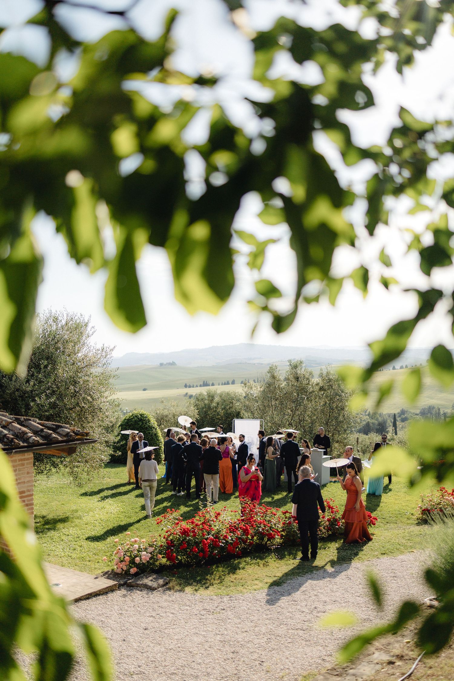 Outdoor Tuscan wedding cocktail hour with guests mingling amid rolling hills and red flowers.