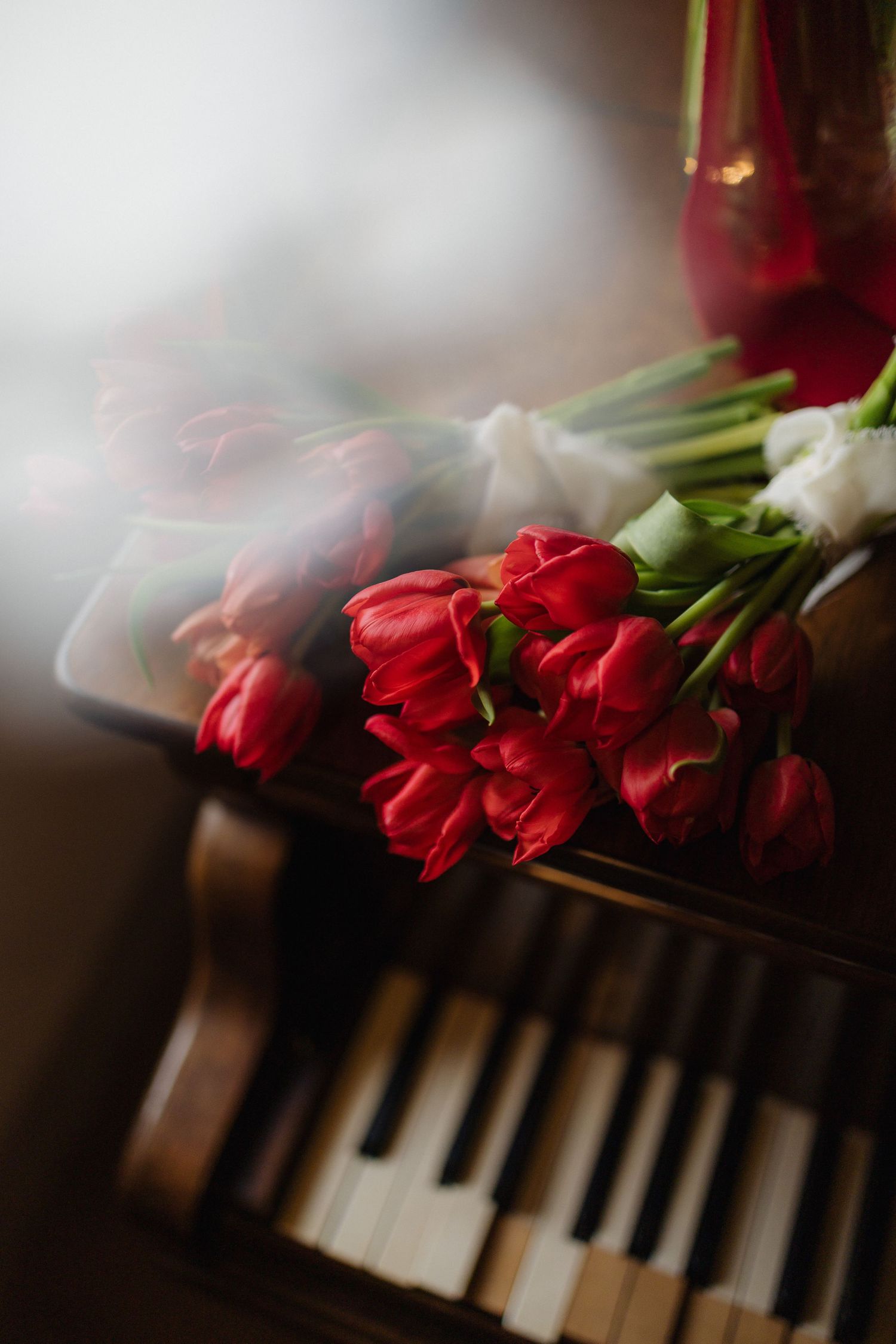 Romantic bouquet of red tulips resting on vintage piano keys with soft bokeh background.
