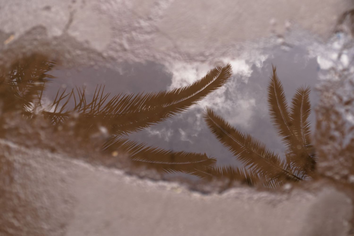 Abstract brown and gray reflections on a rippling water surface create a wavy pattern.