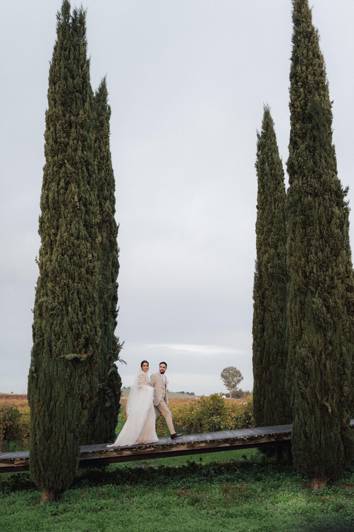 Distant view of a wedding couple standing among tall cypress trees against an overcast sky.