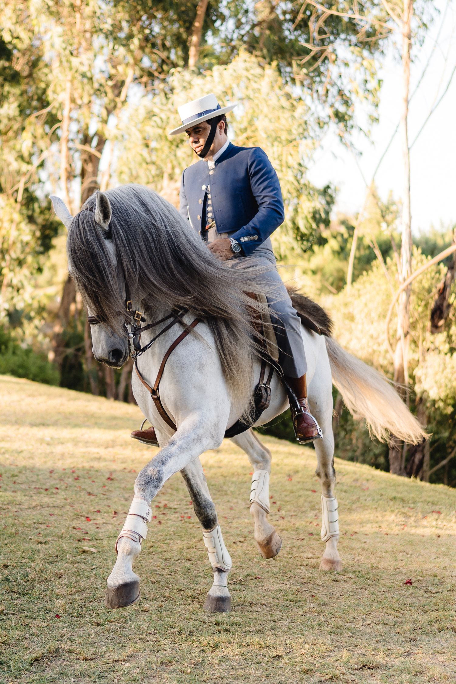 A white horse demonstrates classical dressage movements on grassy terrain.