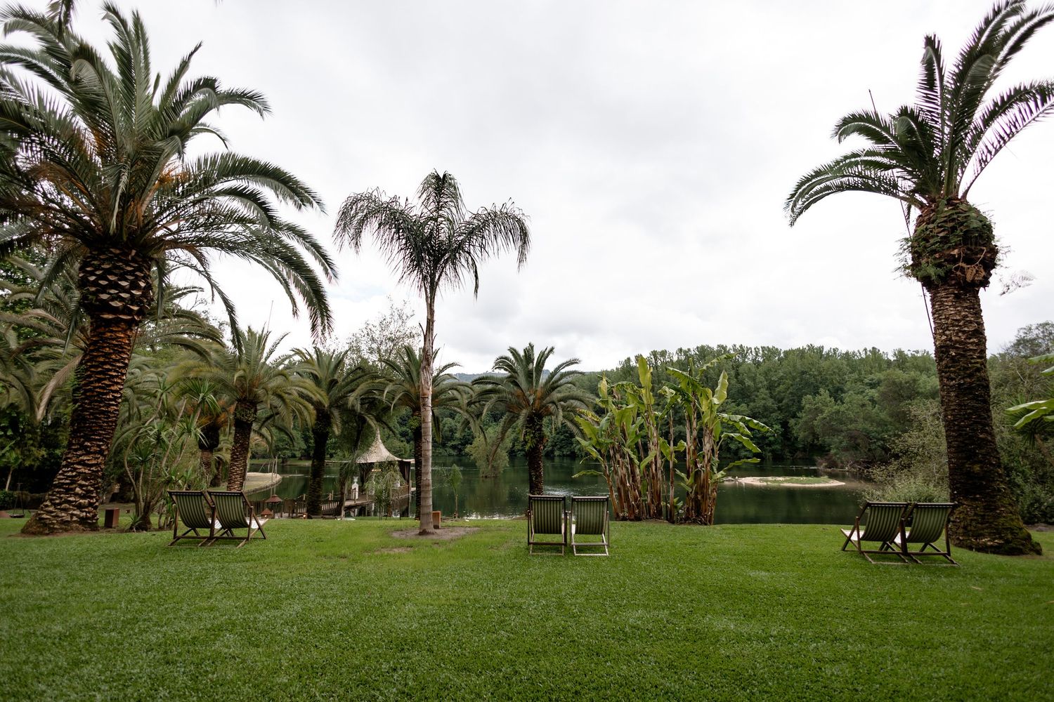Panoramic view of a lush tropical garden with palm trees and green lawn.