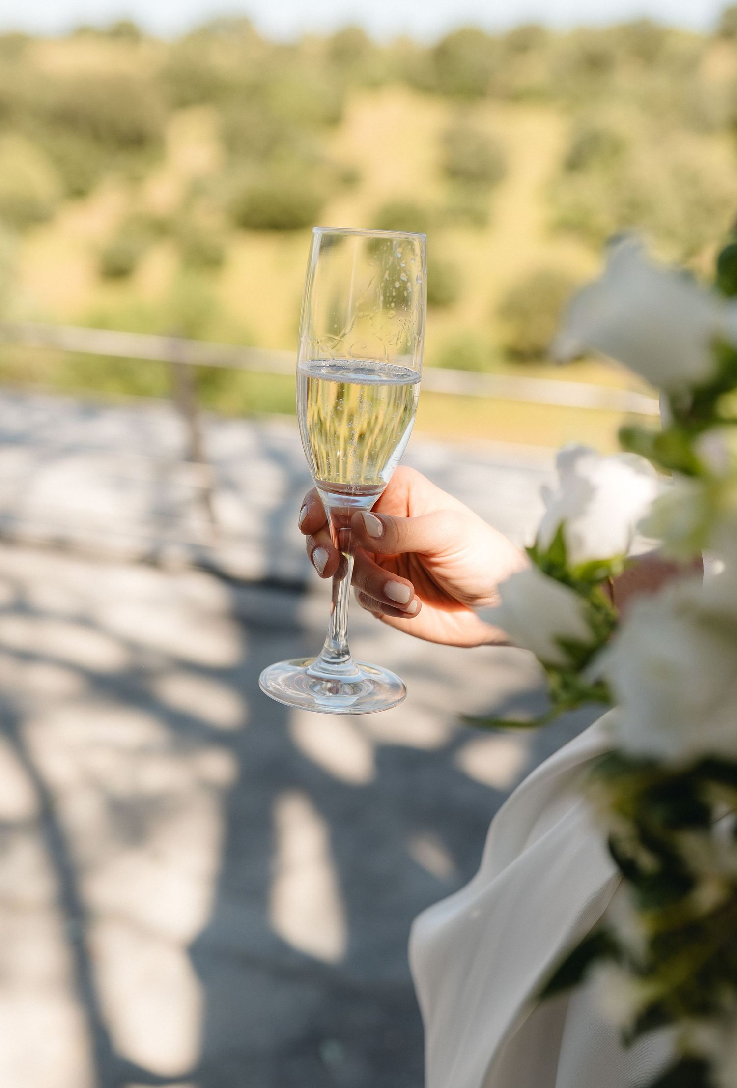 Champagne glasses being raised in a wedding toast against a blurred outdoor background.