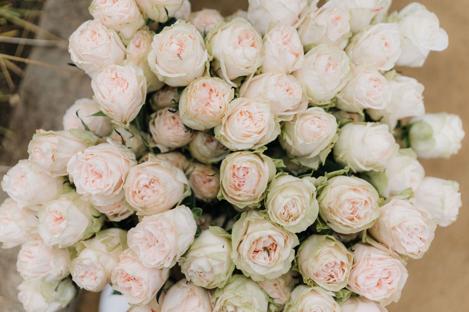 Close-up of a lush bouquet featuring pale pink and white garden roses.