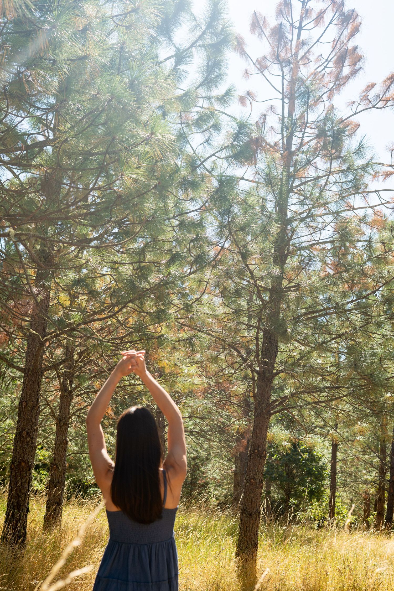 Silhouetted figure stretches arms up toward sunlight filtering through pine trees in a peaceful forest setting.