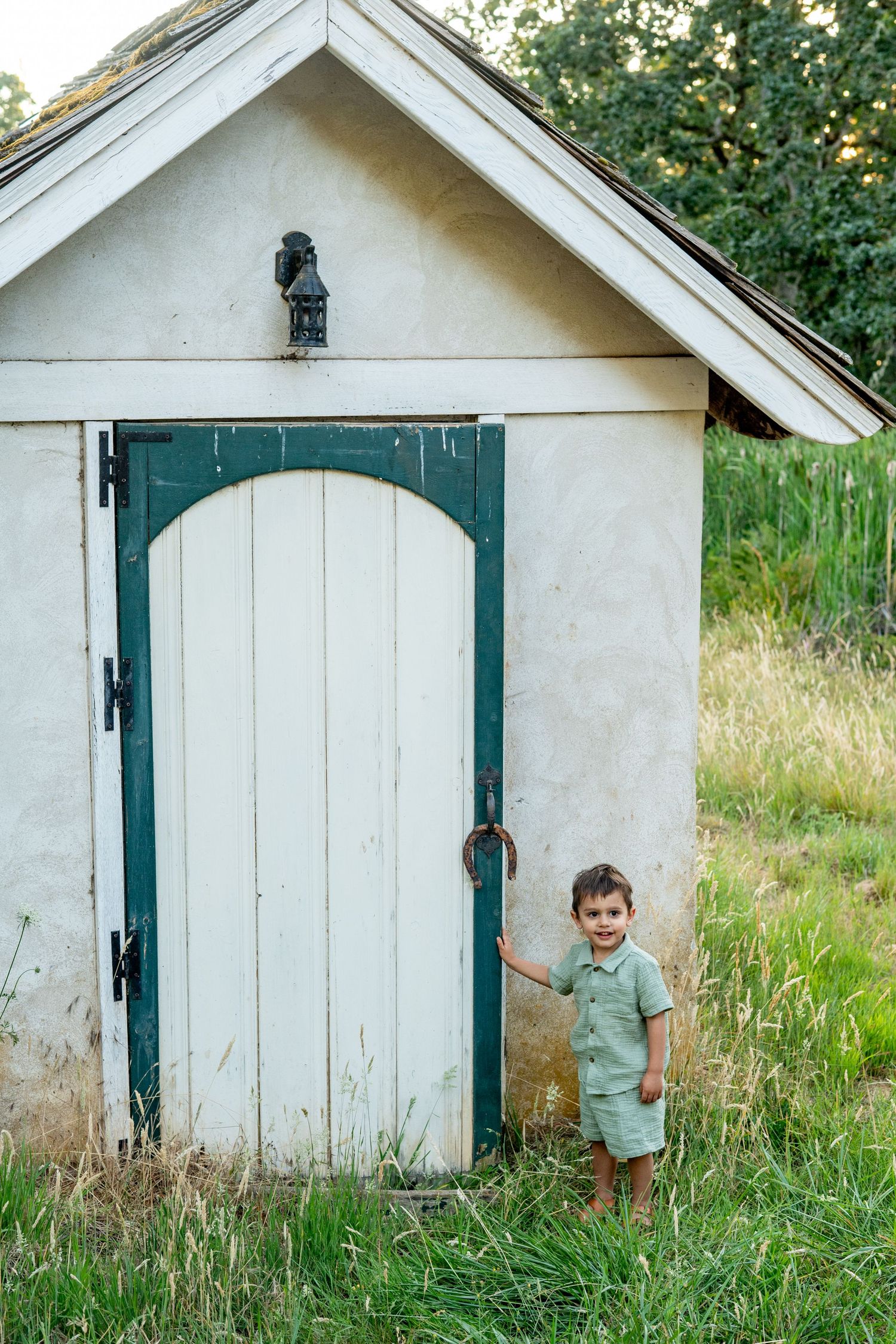 Small white garden shed with green-trimmed door and tall grass in a rustic outdoor setting.
