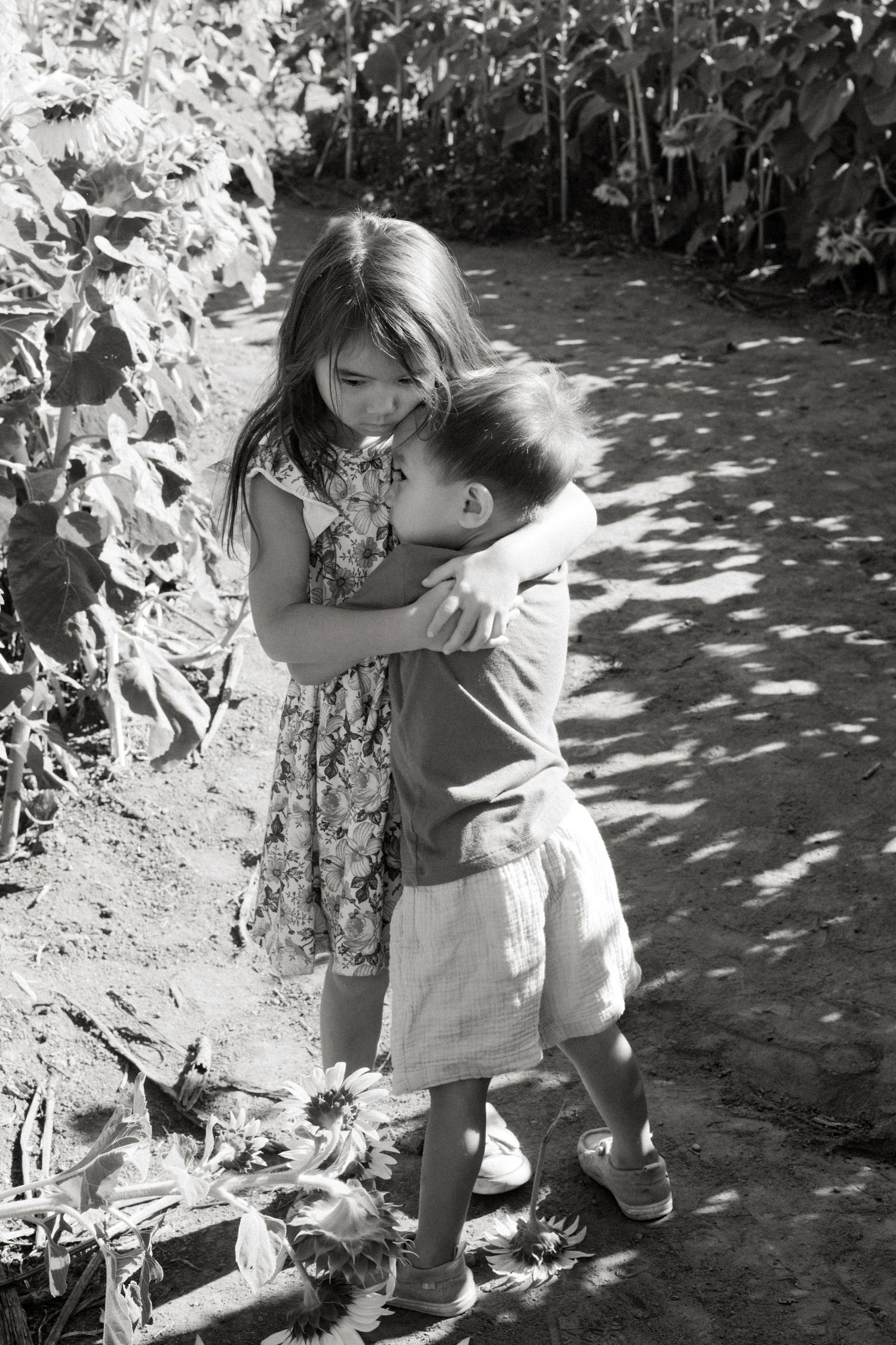 Black and white photo series showing a tender moment between two children hugging in a garden with dappled sunlight.