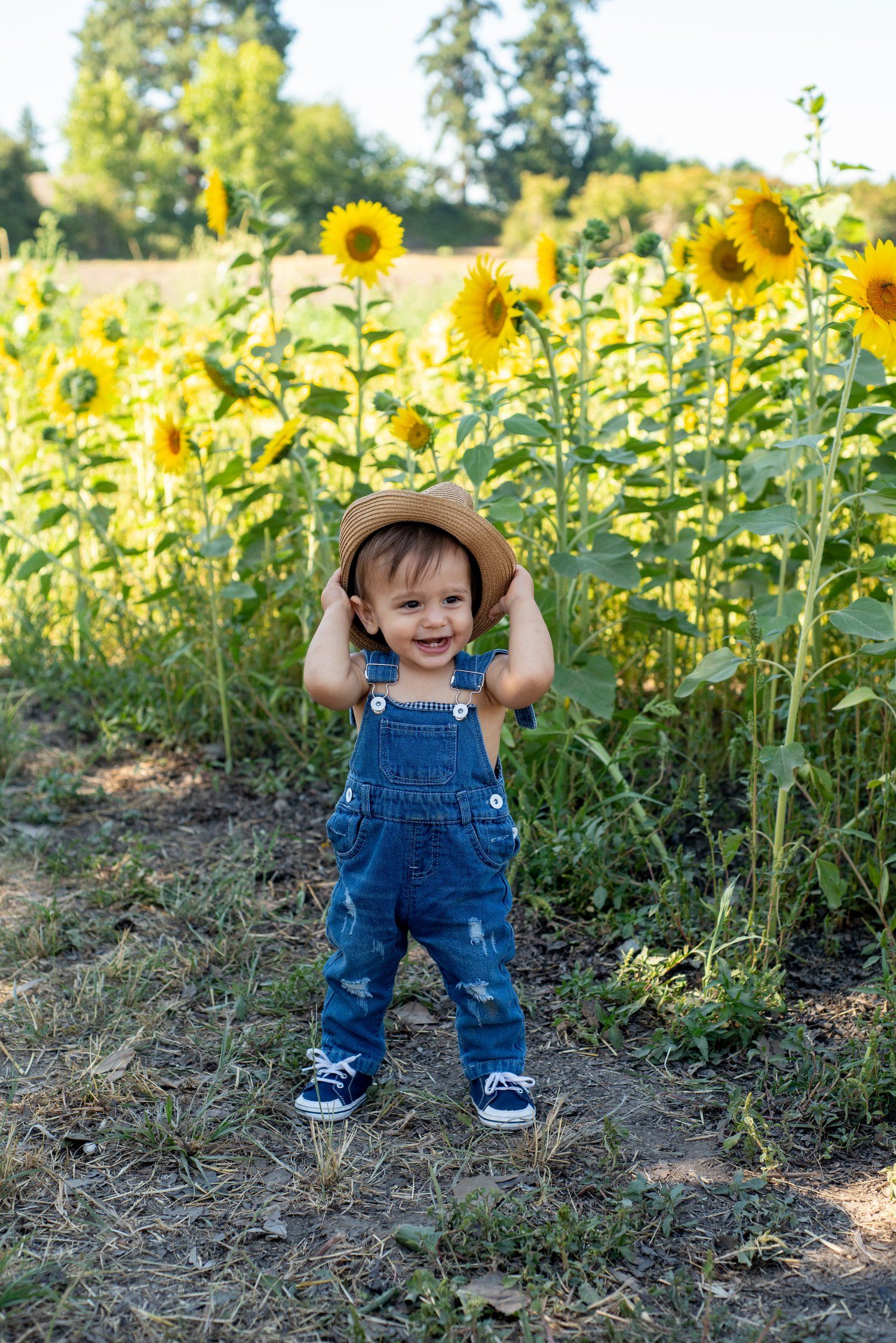Small figure in denim overalls and a hat stands among tall blooming sunflowers in a sunny garden field.