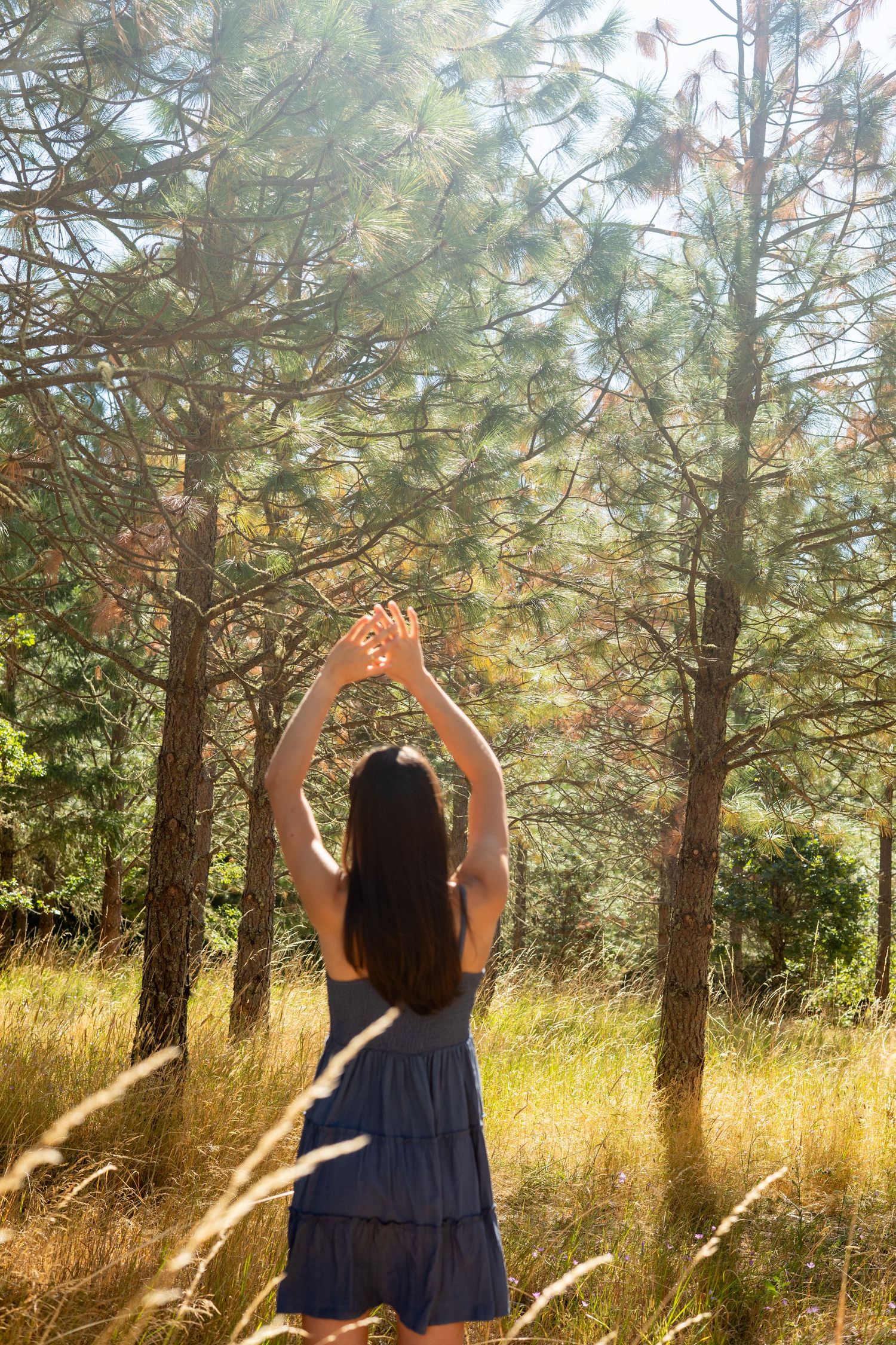 A person in a dark dress raises their arms in a sunny forest clearing surrounded by pine trees and golden grass.