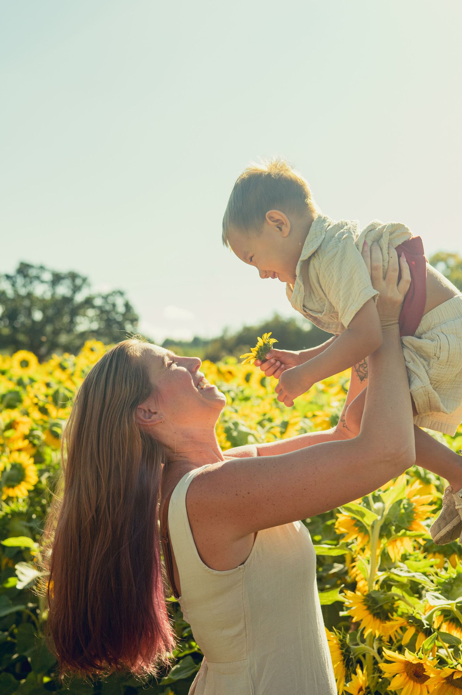 A joyful moment between parent and child playing together in a sunflower field during golden hour.