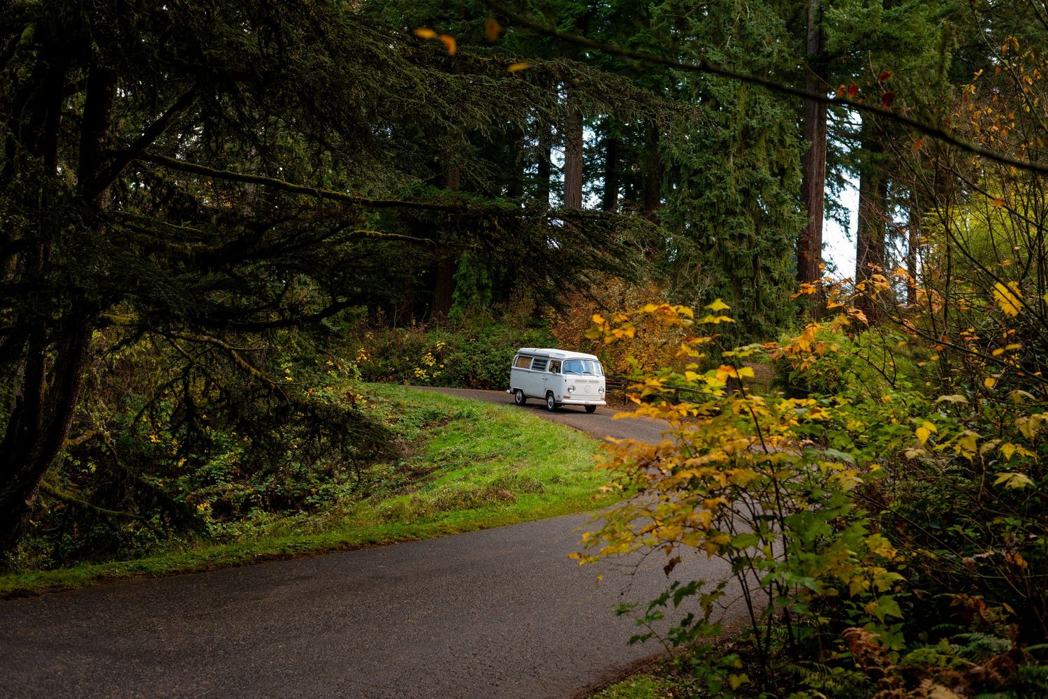 A vintage white VW van parked on a winding forest road surrounded by autumn foliage and evergreen trees.