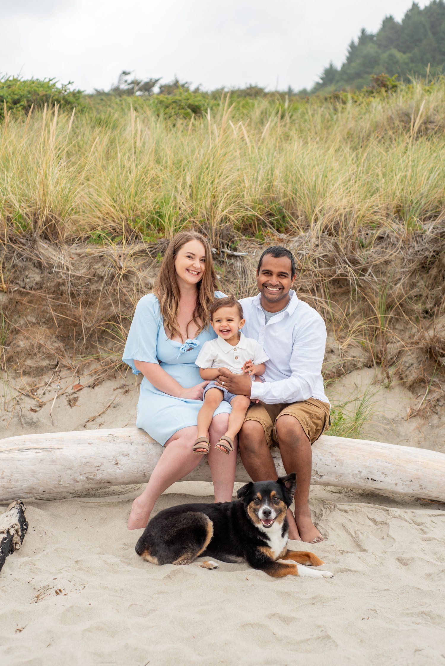 A couple sits with their child and dog on a beach log against grassy dunes.