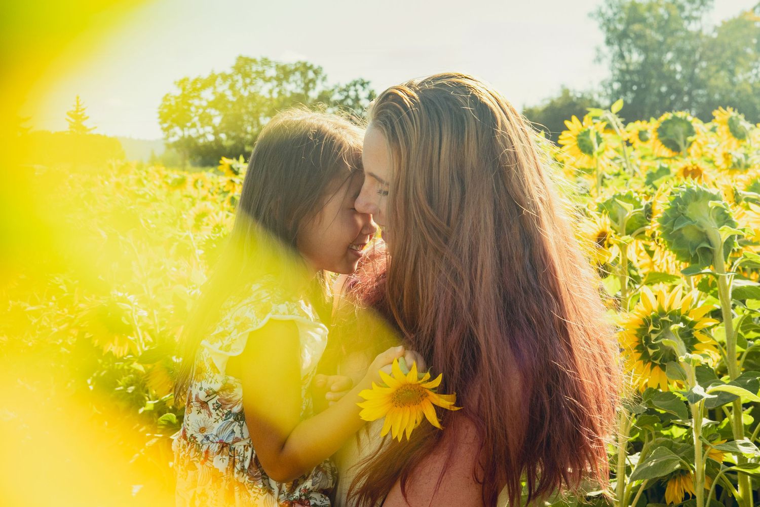 A person walks through a vibrant field of yellow sunflowers on a bright sunny day with a warm golden glow.