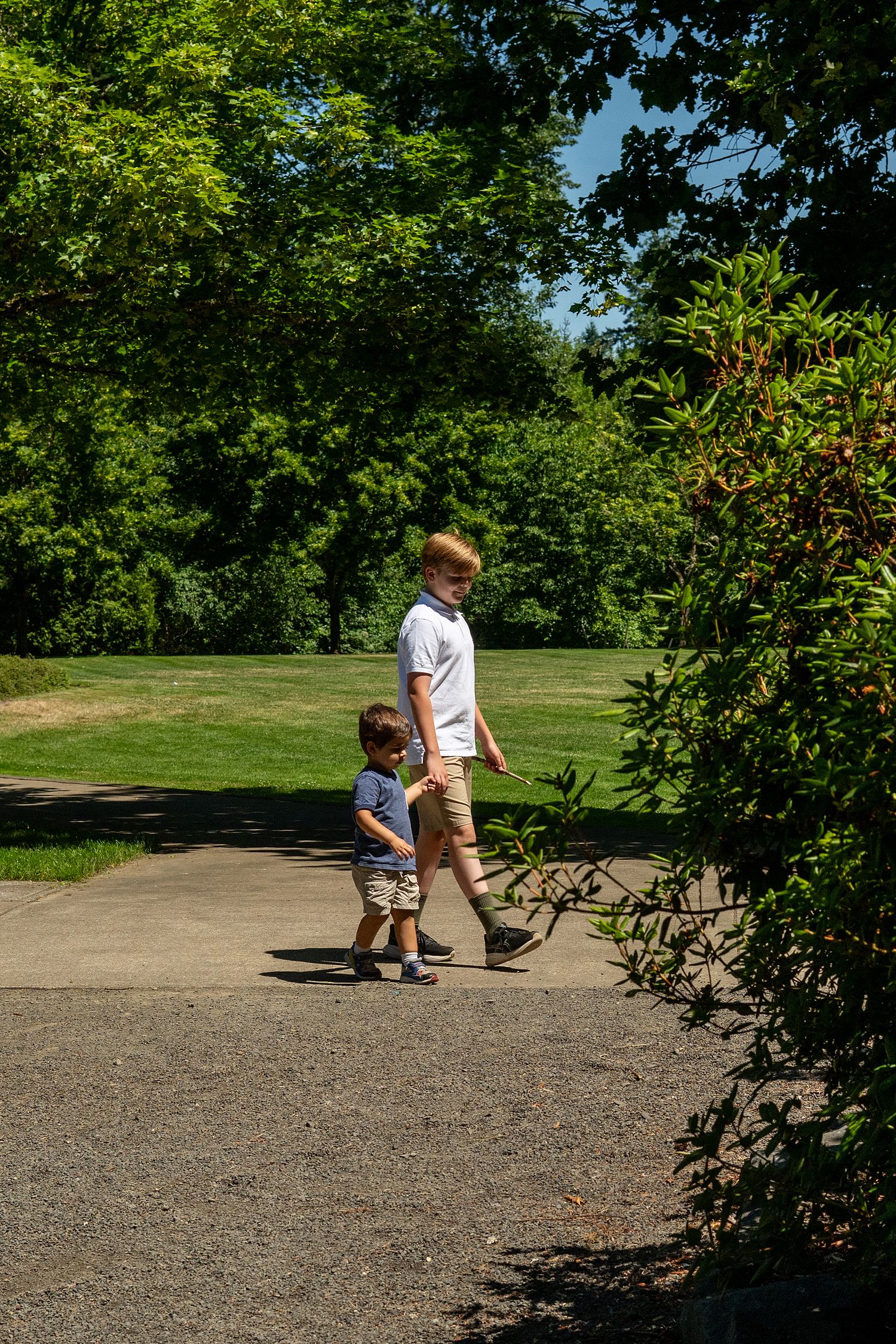Two people enjoying a sunny walk together along a paved path surrounded by lush green trees and landscaping.