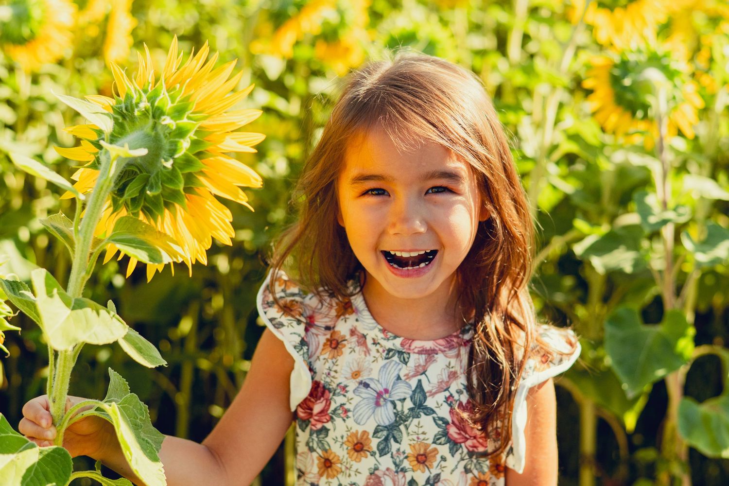 A cheerful moment captured in a vibrant sunflower field with bright yellow blooms on a sunny summer day.