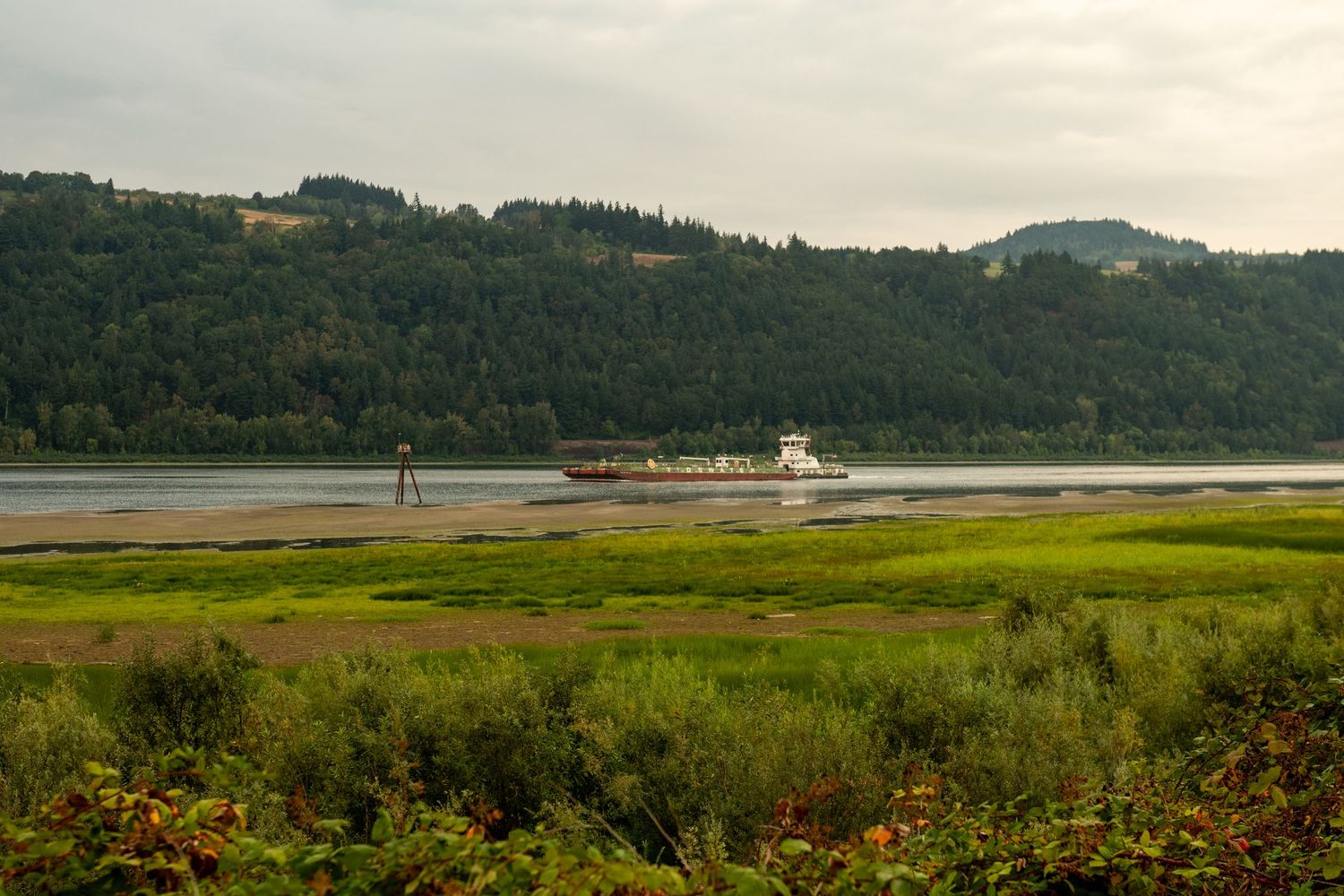Green coastal marshland stretches along a tranquil waterway with forested hills in the distance on a cloudy day.