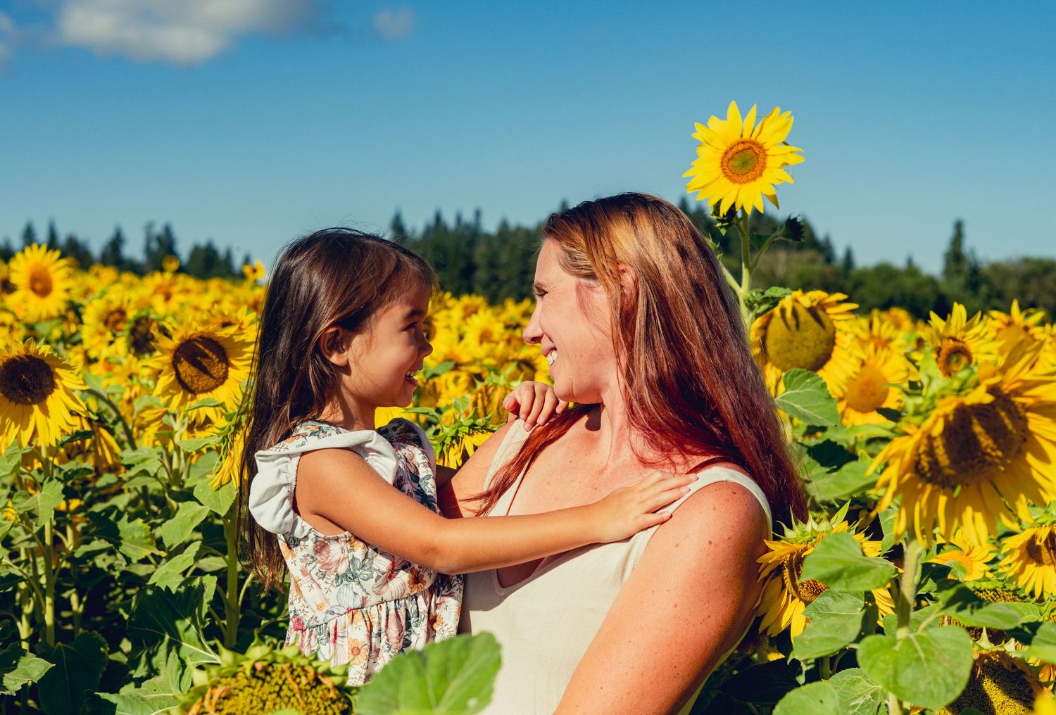 A couple shares a romantic moment in a vibrant field of blooming sunflowers on a sunny summer day.
