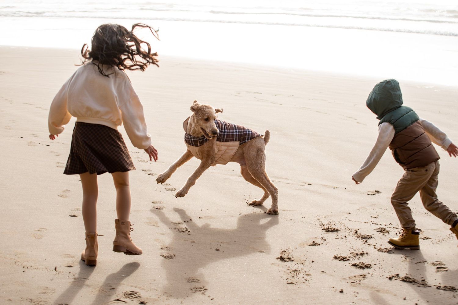 Children and a dog playing together on a sandy beach at sunset.