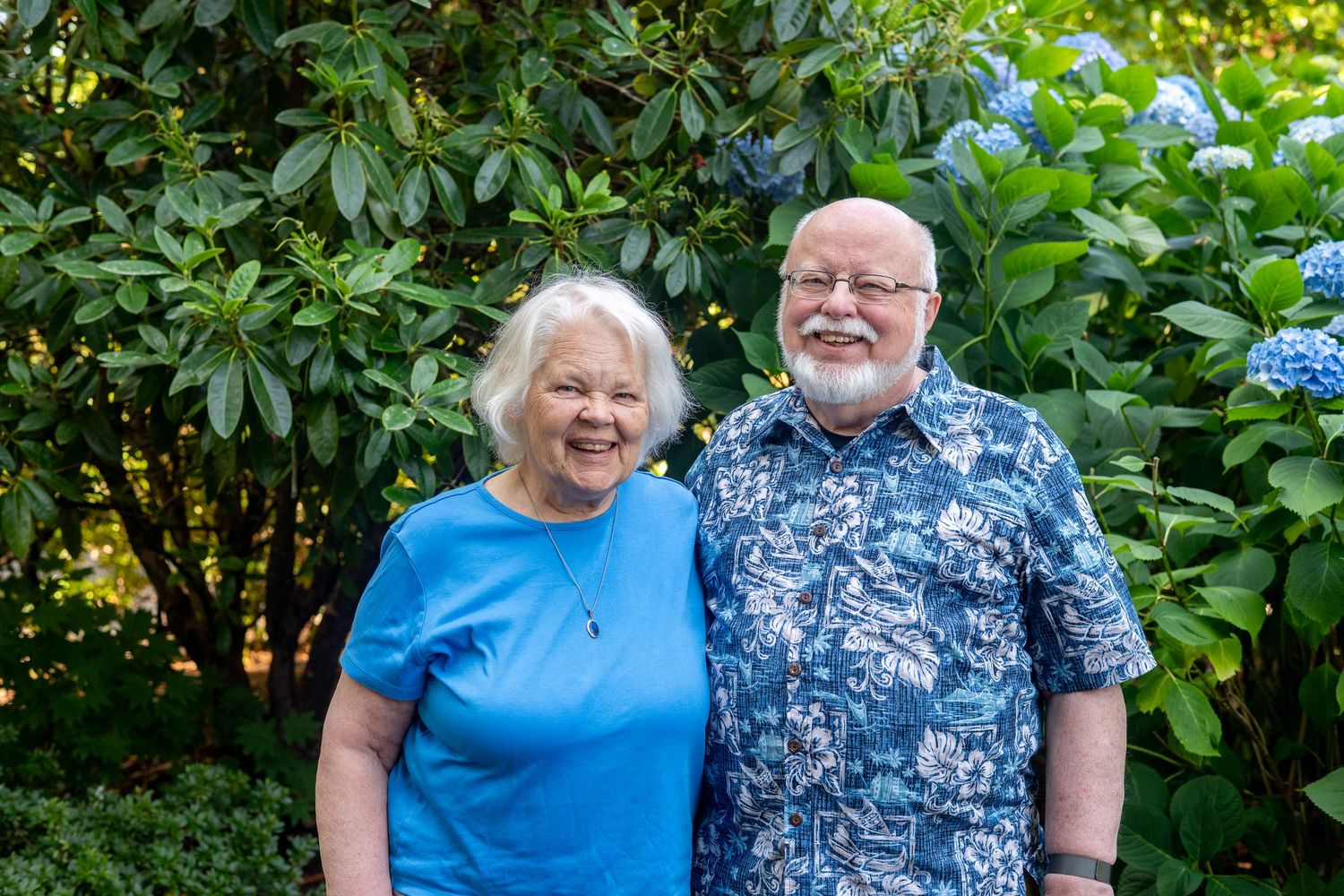 Two older individuals in blue clothing smile together in front of blooming hydrangea bushes in a garden.