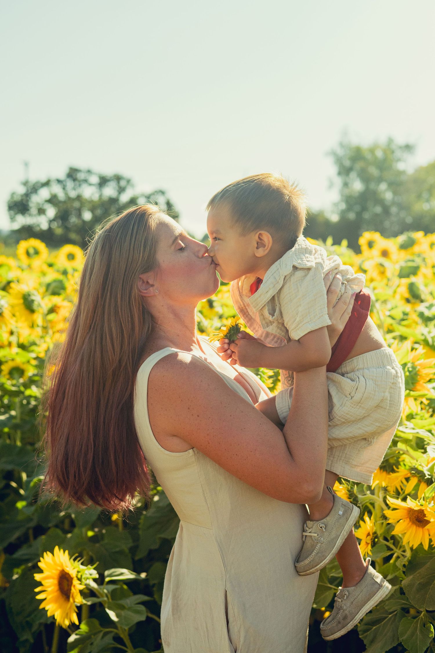 A tender moment captured in a sunflower field during golden hour.