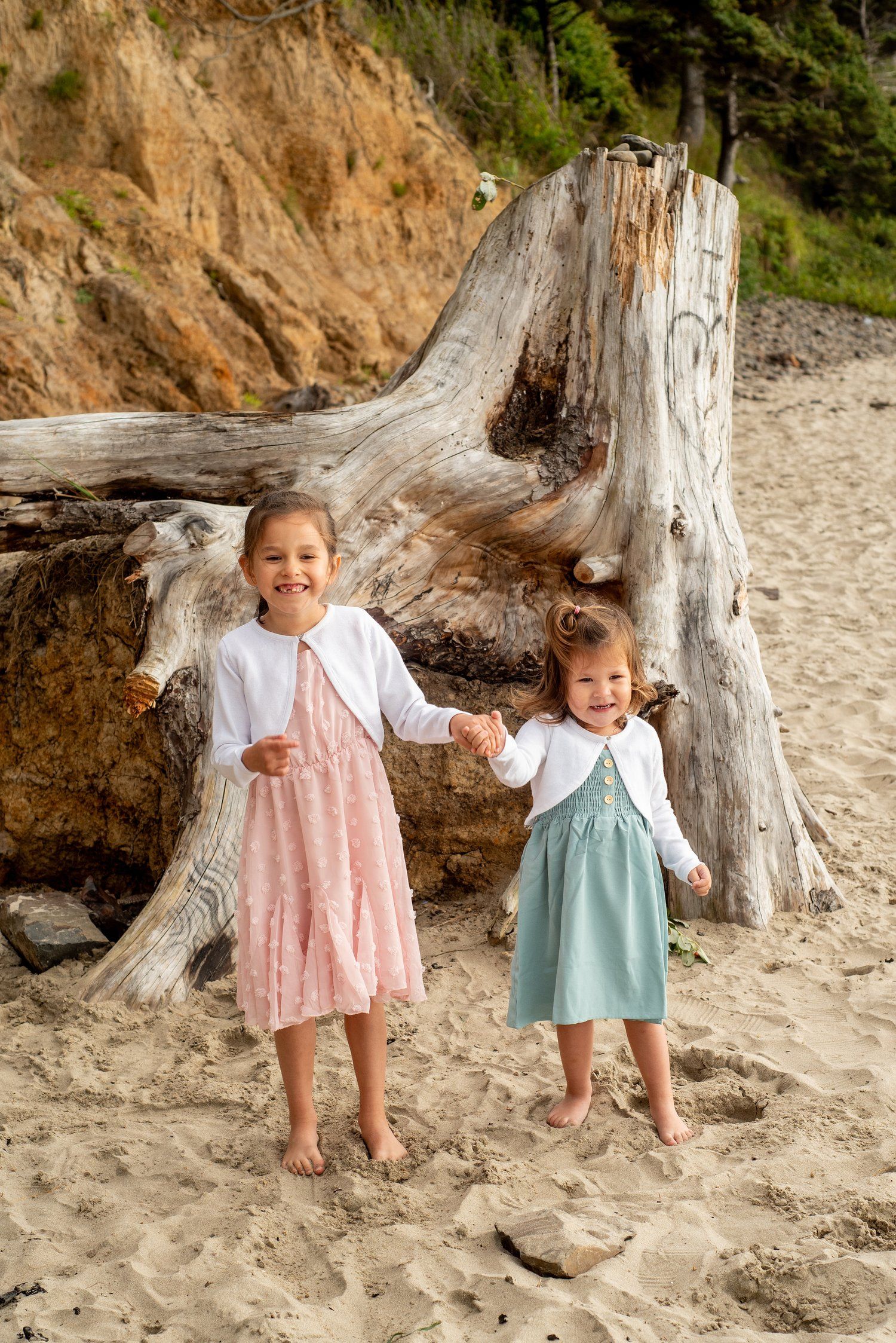 Large weathered driftwood frames coastal beach scene with natural cliff backdrop.