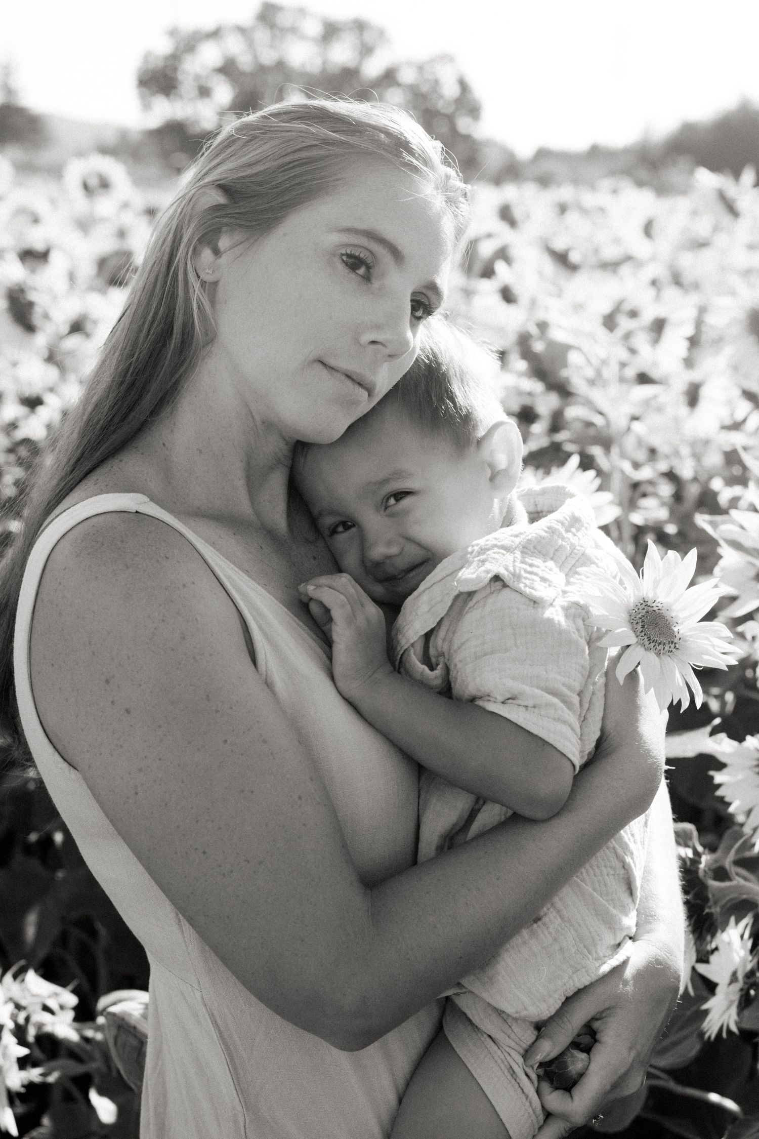 A tender black and white photo series showing intimate moments between a parent and child in a flower field.