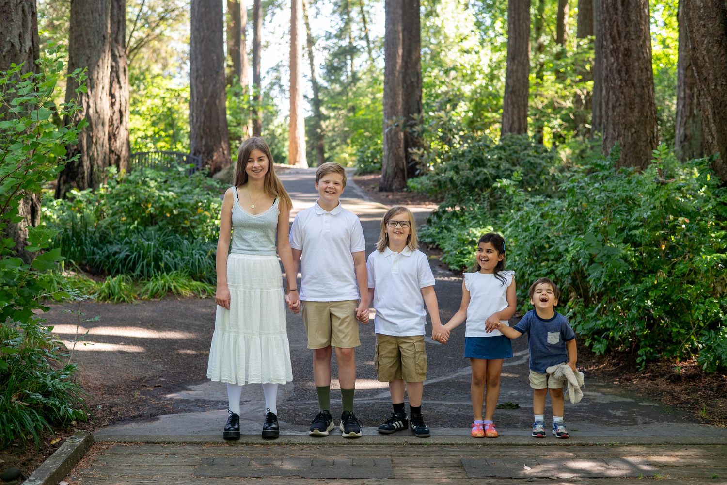 People walking together on a peaceful trail surrounded by tall evergreen trees and lush greenery in a forest setting.