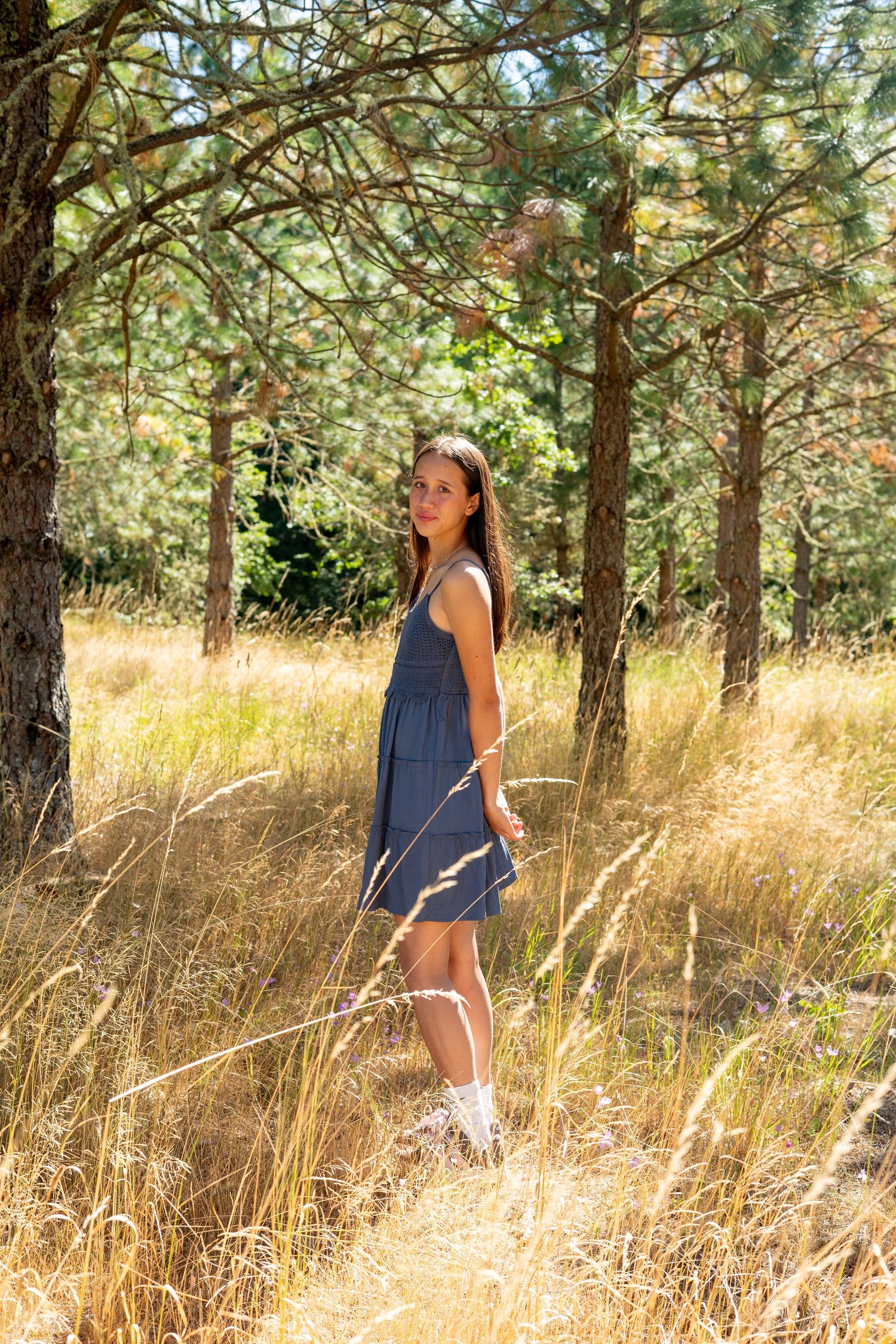 A figure in a navy blue dress poses against a sunlit backdrop of golden grass and evergreen trees in a summer meadow.