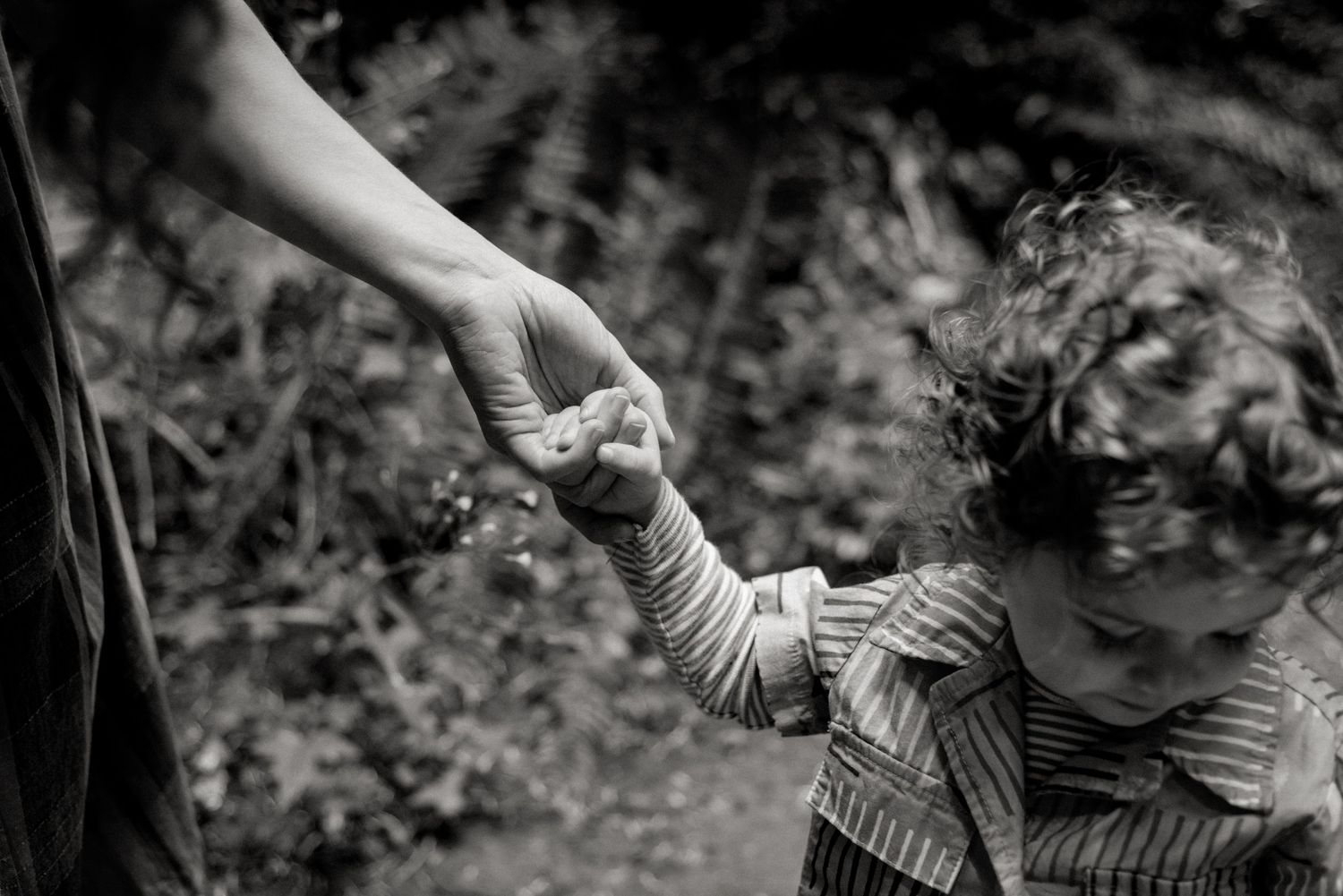 Black and white photo of an adult and child's hands held together in a garden setting, showing warmth and connection.