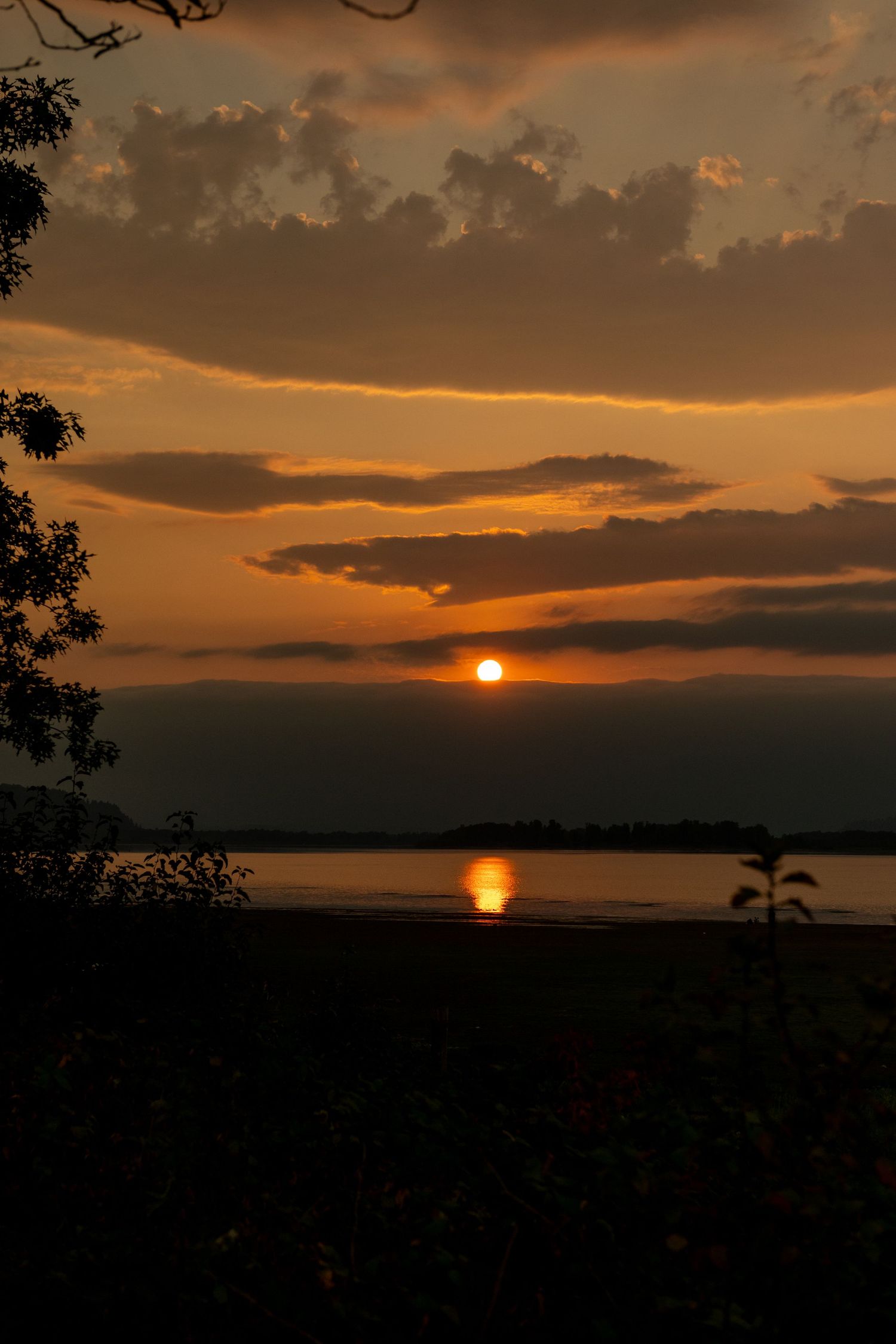 Golden sunset over a tranquil lake with silhouetted palm trees and dramatic orange clouds reflecting on the water.