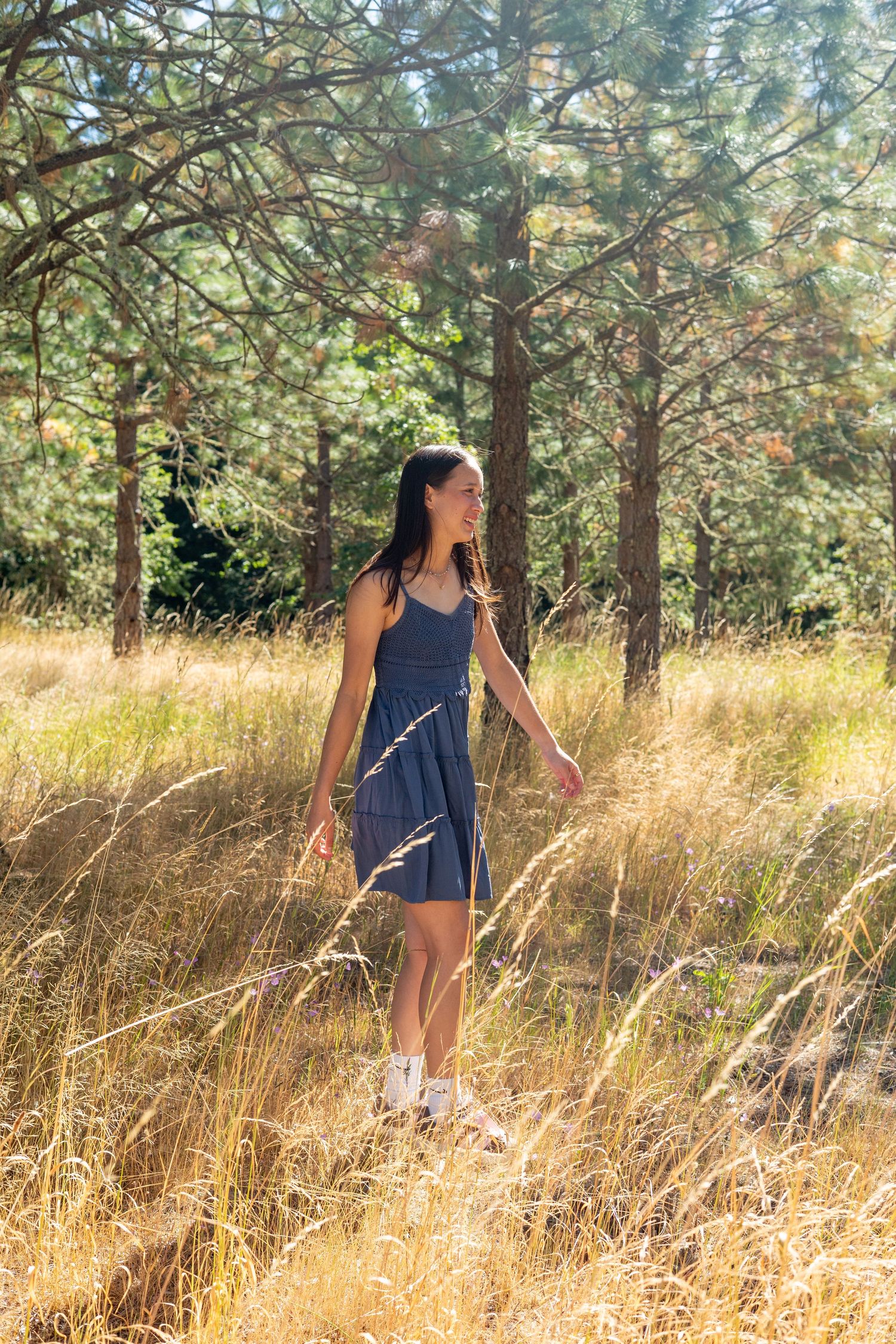 A figure in a blue dress stands among tall golden grass and pine trees in a dreamy outdoor setting.