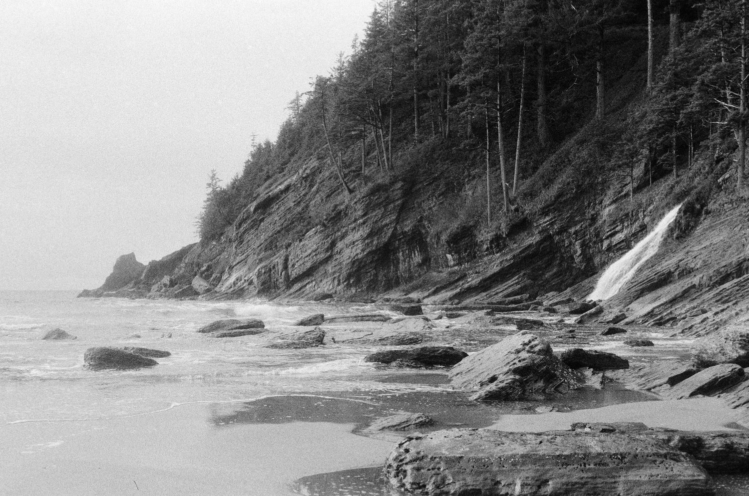 Rocky coastline with steep forested cliffs meeting the ocean under an overcast sky.