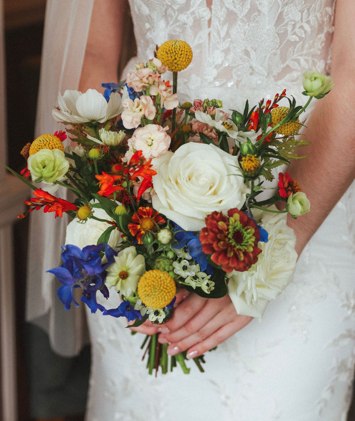 Bride in a lace wedding gown holding a colorful bouquet of white roses, blue delphinium, orange blooms and yellow craspedia.
