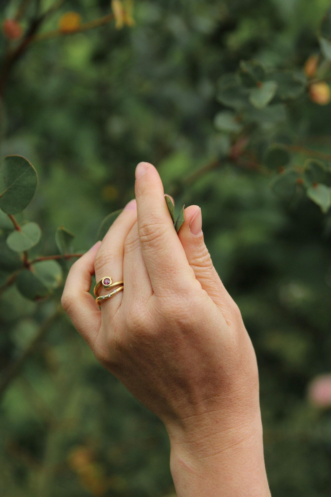 A hand wearing a gold ring delicately touches green eucalyptus leaves outdoors.