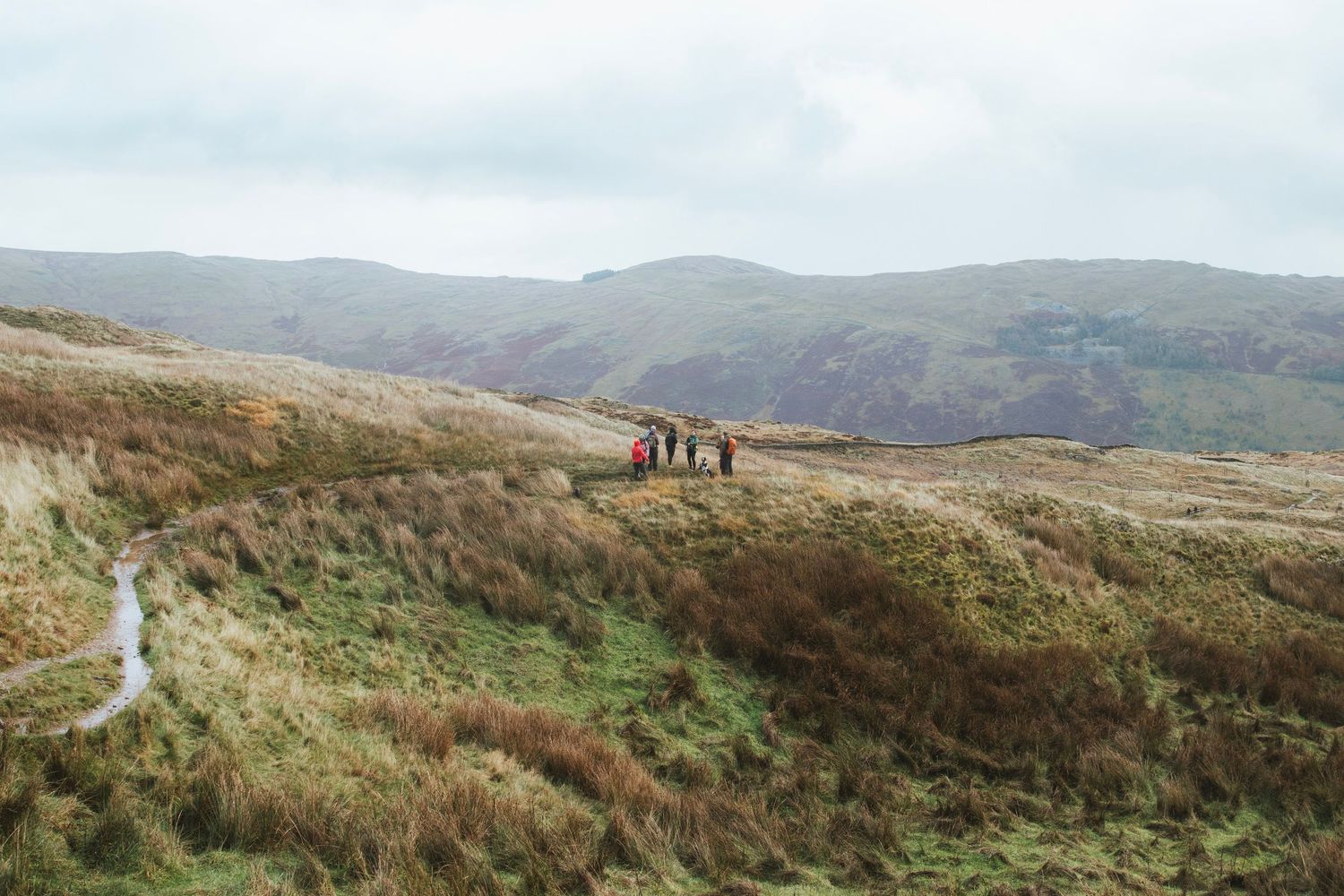 A small group of hikers walks along a ridge path across rugged, heather-covered moorland with rolling hills fading into the misty distance.