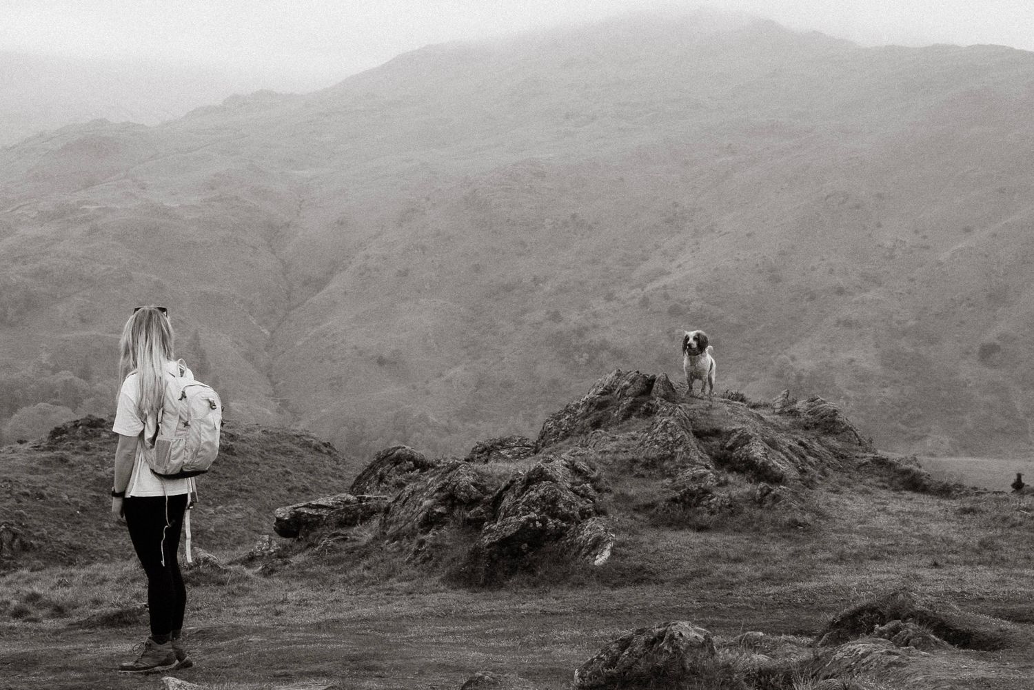 Black and white photo of blonde woman with backpack and dog standing on misty mountain landscape.
