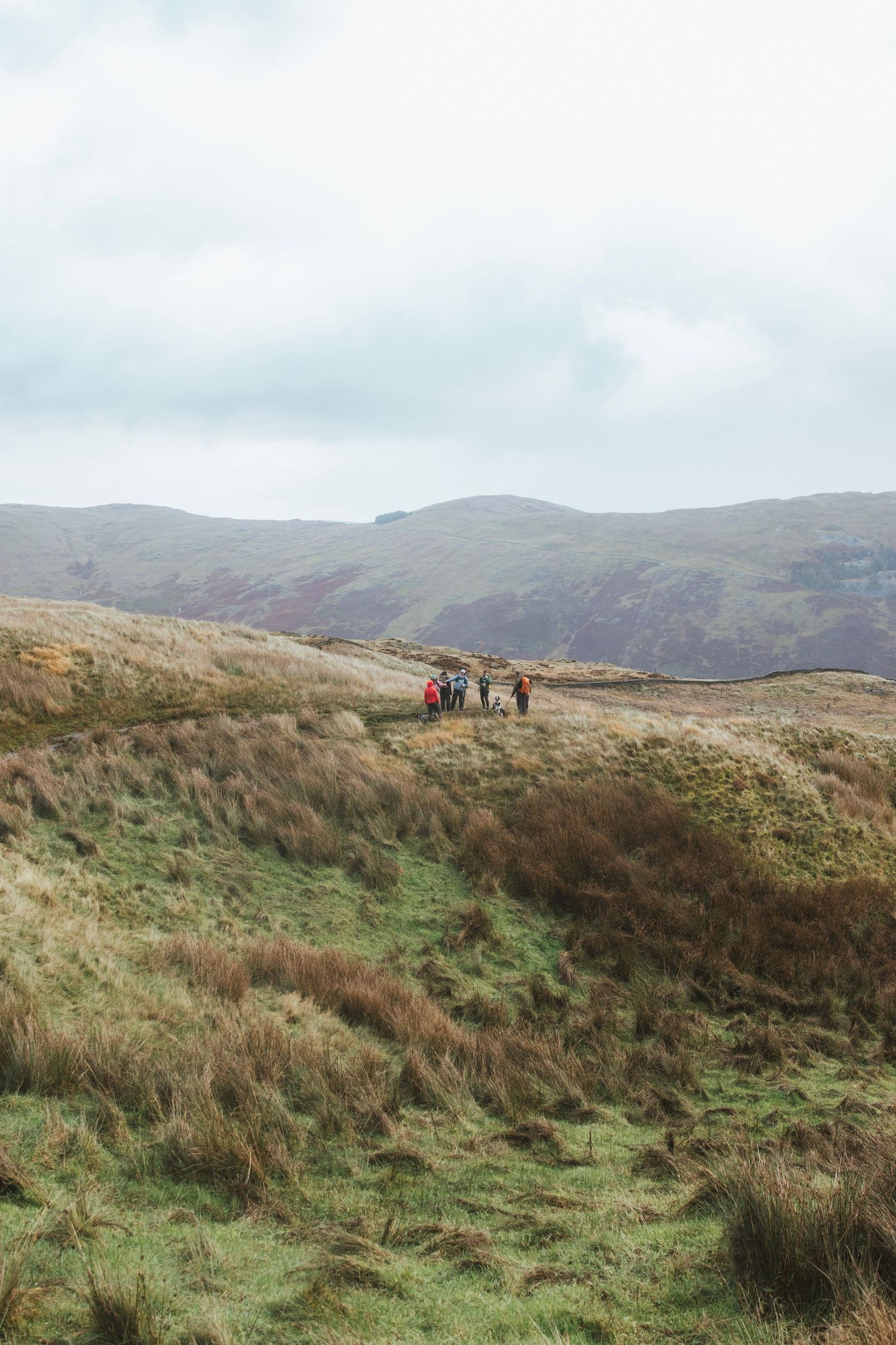 Small group of hikers in colorful jackets walking along a grassy trail across rolling moorland hills under an overcast sky.