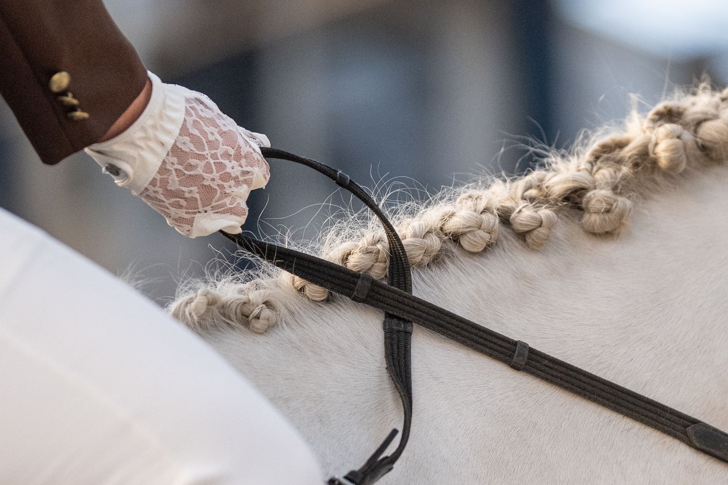 Close-up of a gloved hand holding reins on a braided white horse mane during an equestrian dressage event.