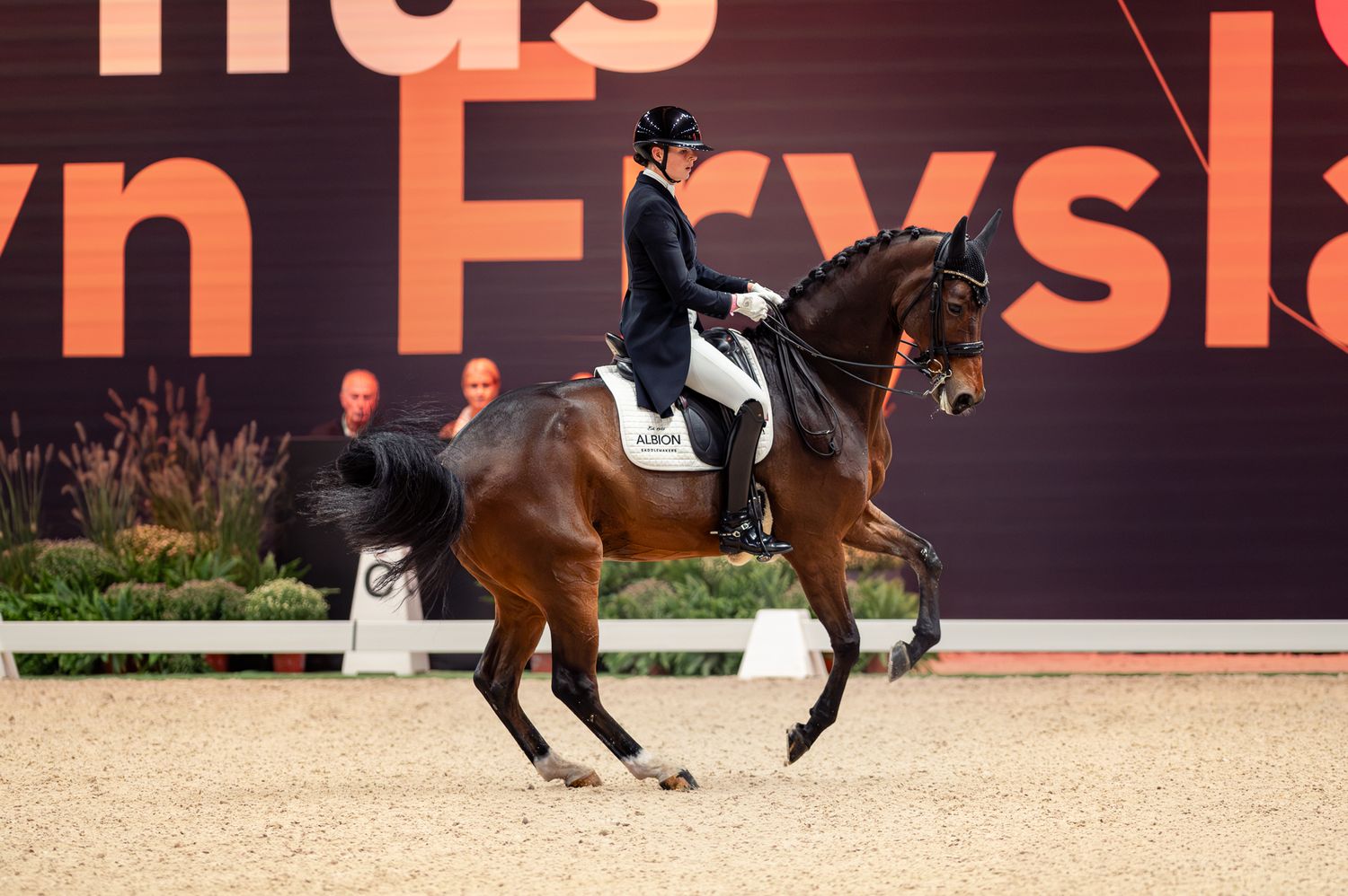 Equestrian rider in formal attire performing dressage on a bay horse at an indoor competition arena.