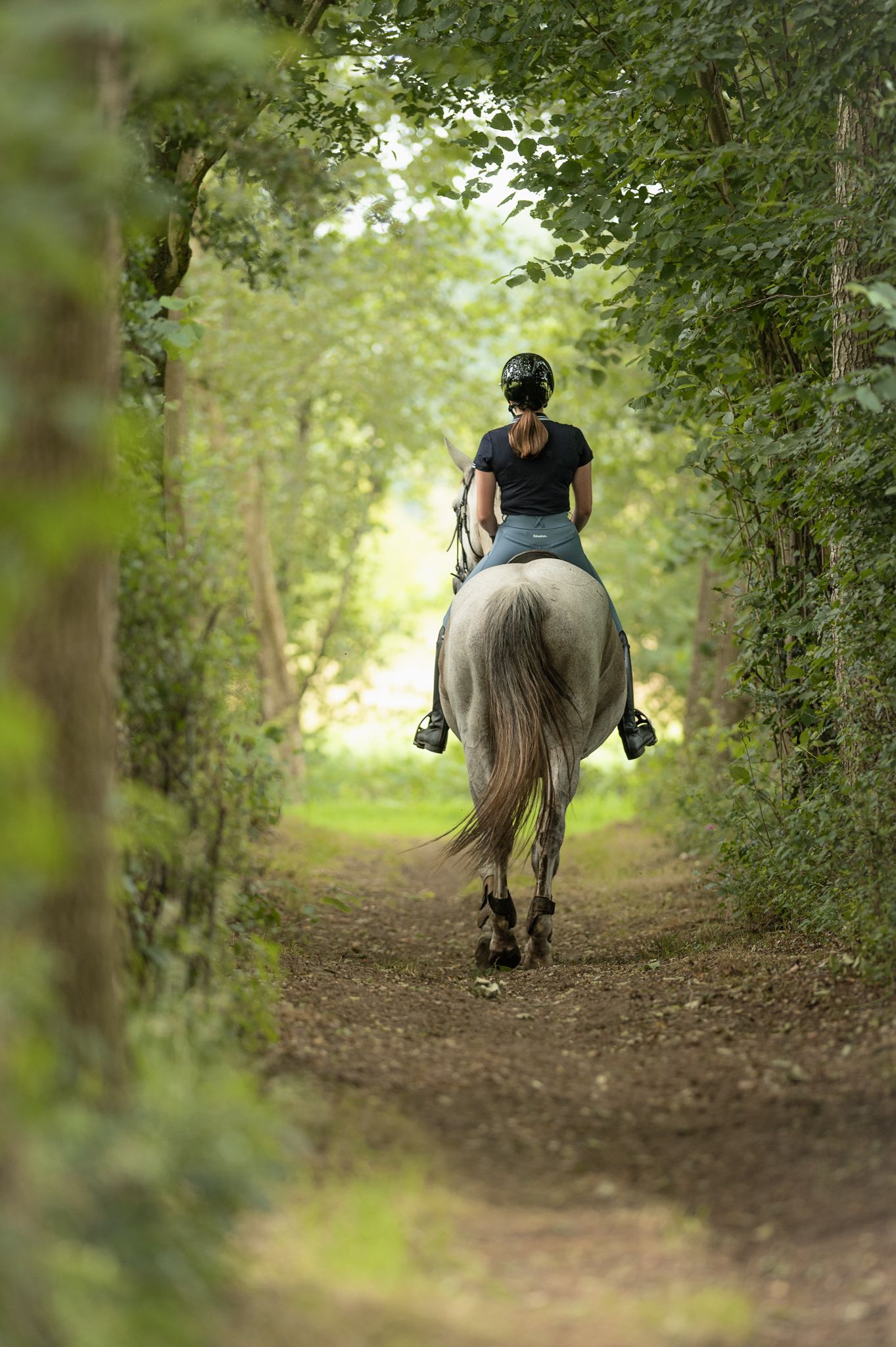 A rider on a gray horse travels down a tree-lined path, viewed from behind in lush green surroundings.