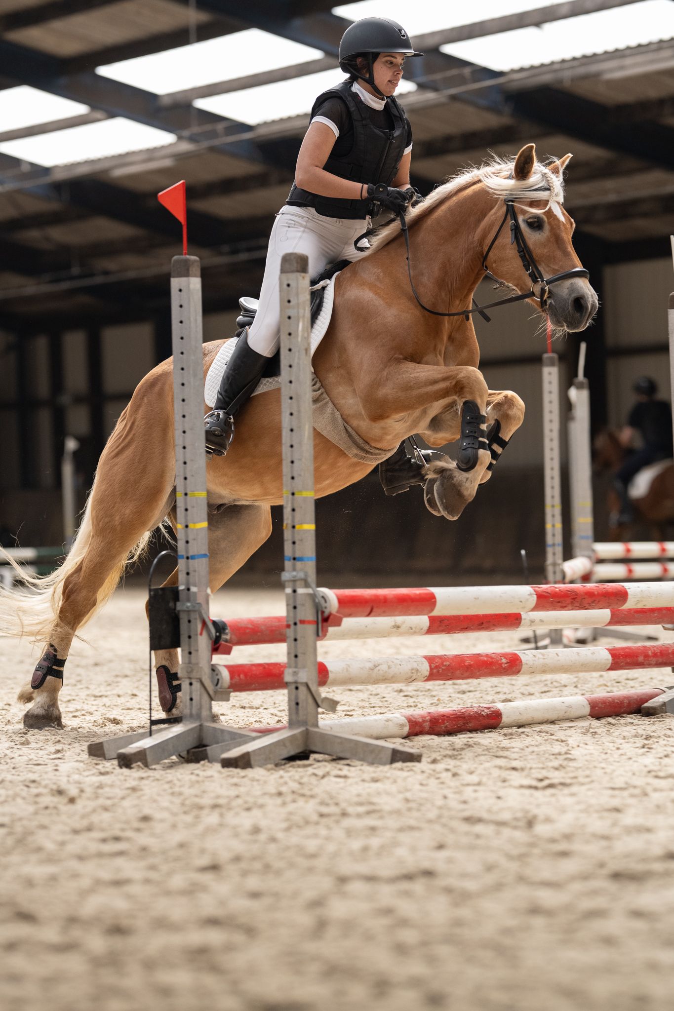 A rider on a palomino horse clears a red and white jump in an indoor show jumping competition.