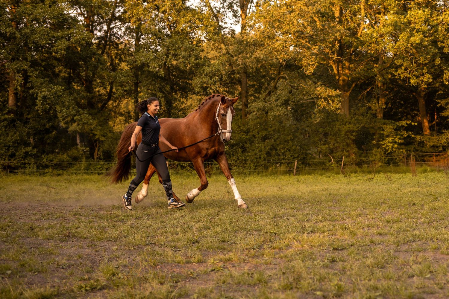 Woman in black outfit leading a chestnut horse across a grassy field at golden hour.